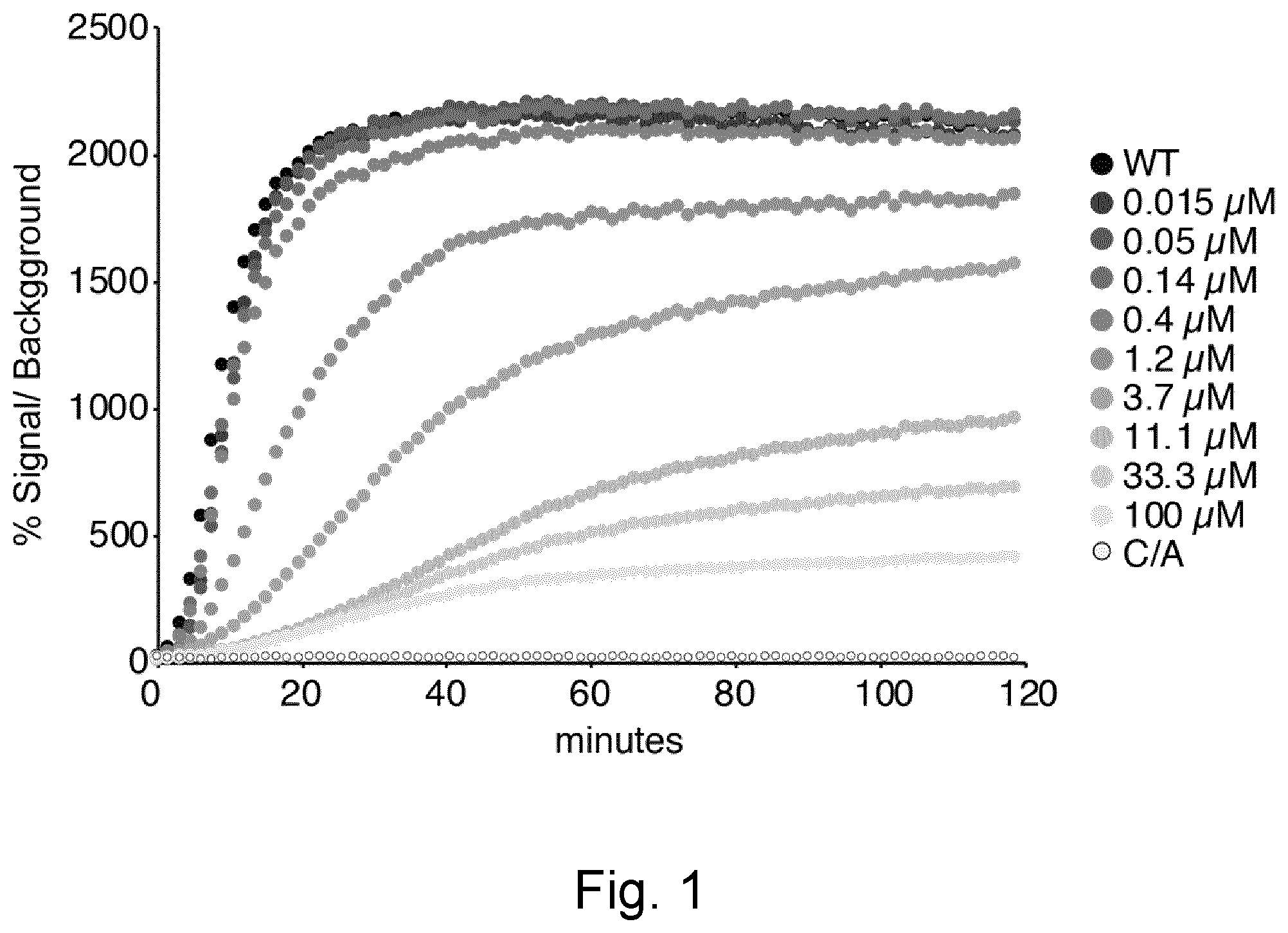 Patent US12403144 Figure 1 – HECT E3 ligase inhibitors and uses thereof