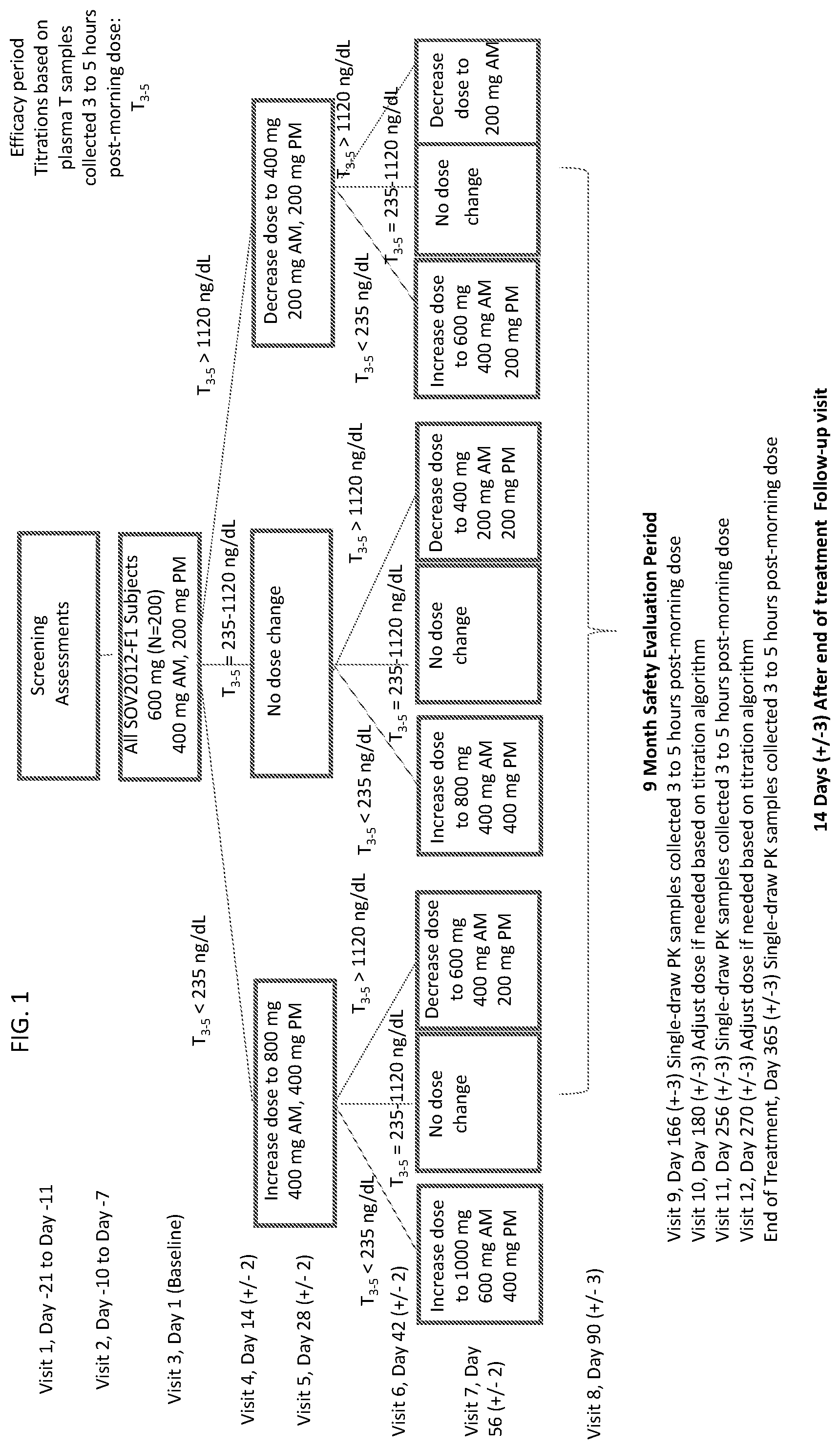 Patent US12403146 Figure 1 – Preferred oral testosterone undecanoate therapy to achieve testosterone replacement treatment