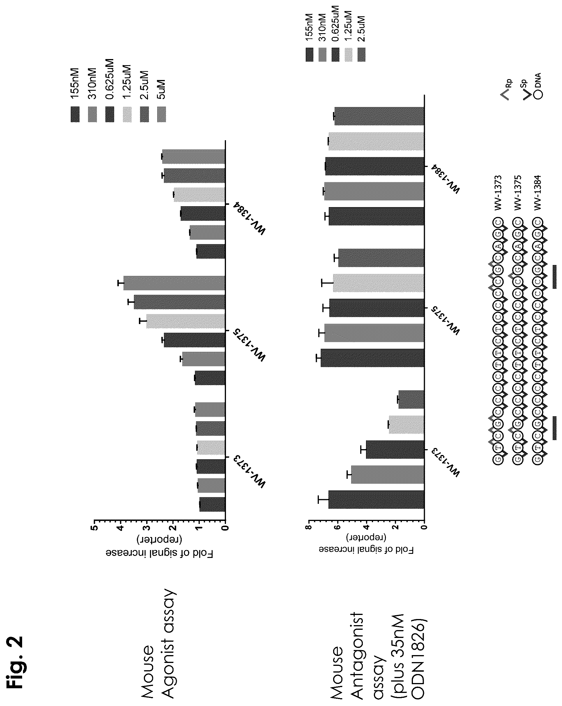 Patent US12403156 Figure 2 – Oligonucleotides, compositions and methods thereof