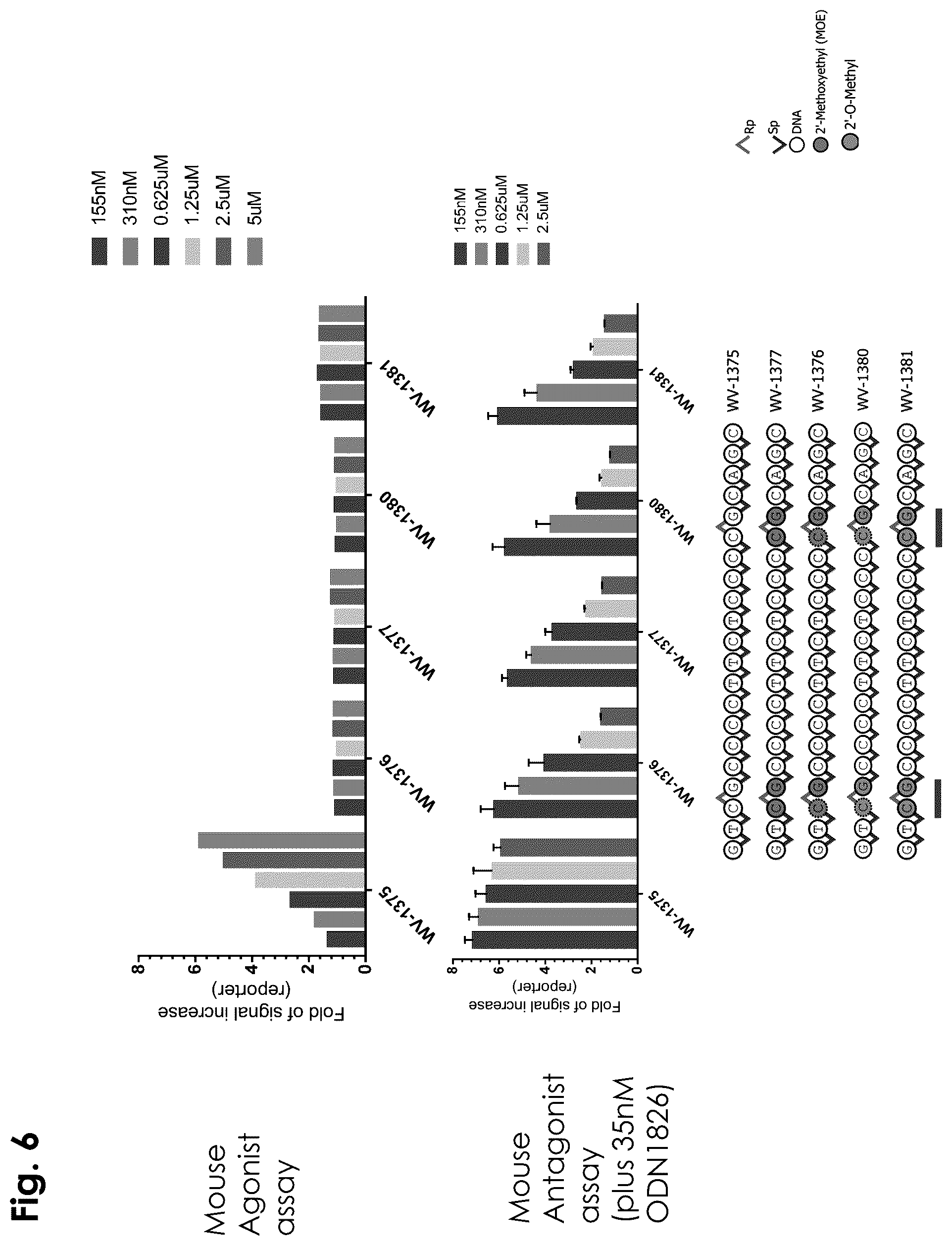 Patent US12403156 Figure 6 – Oligonucleotides, compositions and methods thereof