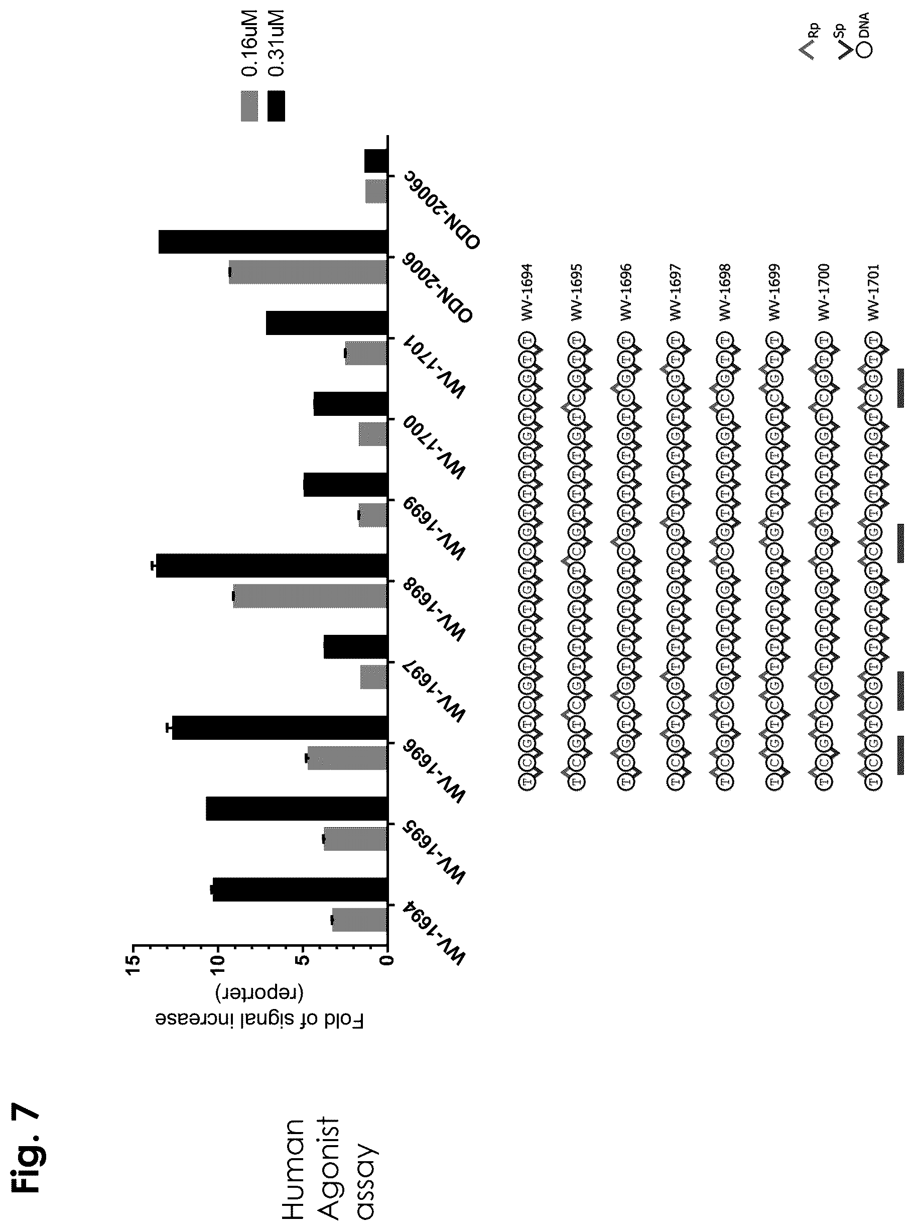 Patent US12403156 Figure 7 – Oligonucleotides, compositions and methods thereof