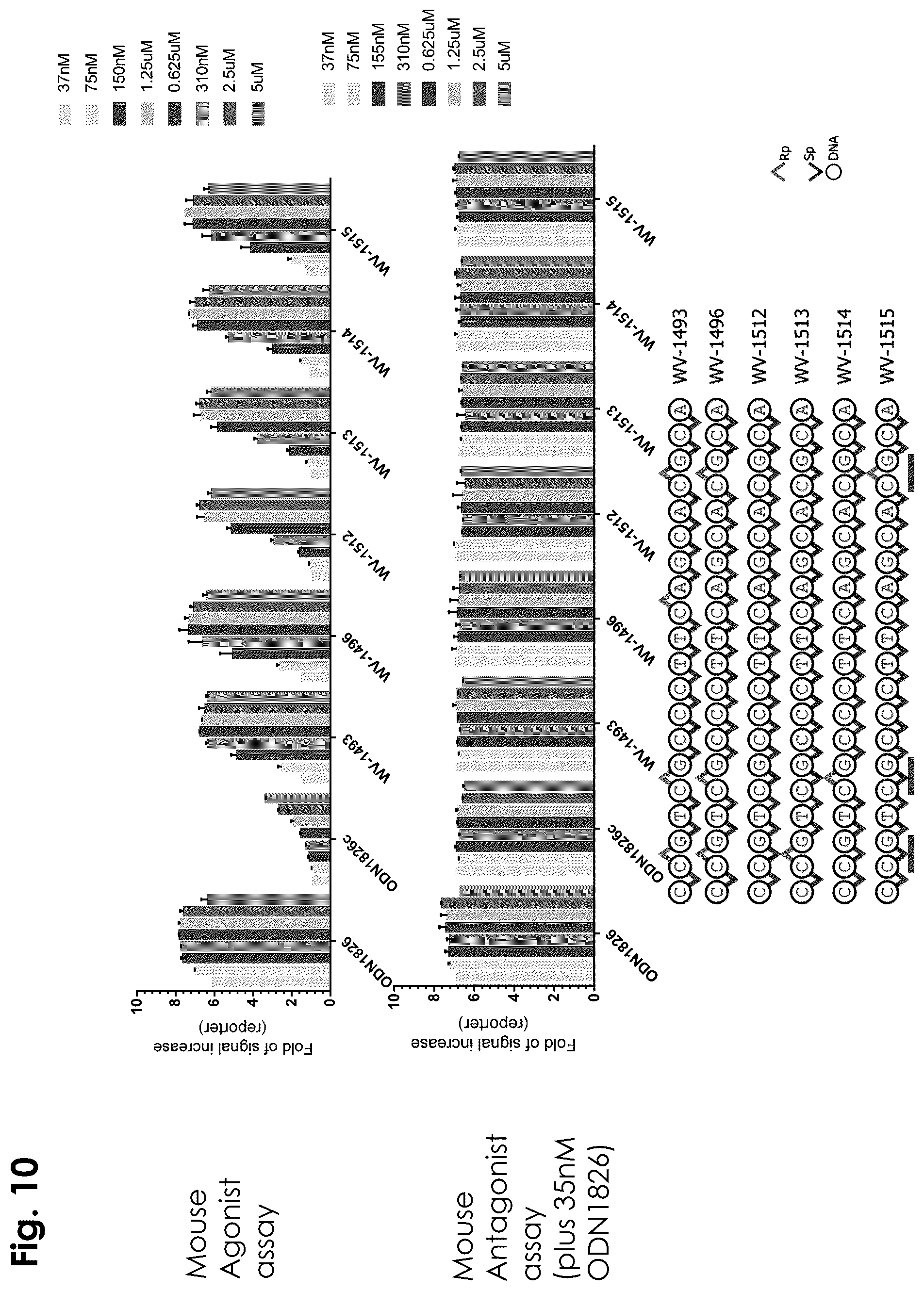 Patent US12403156 Figure 10 – Oligonucleotides, compositions and methods thereof