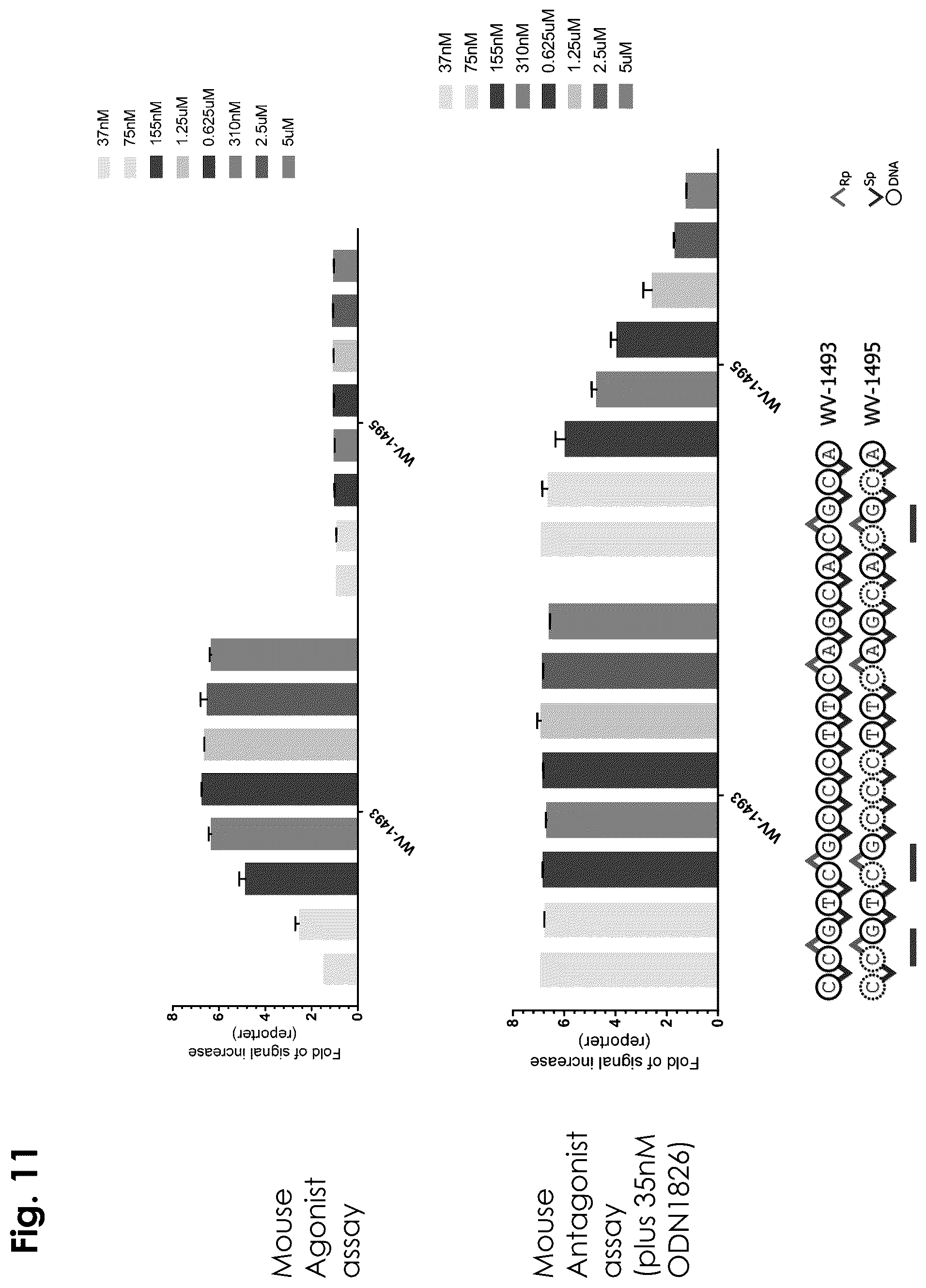 Patent US12403156 Figure 11 – Oligonucleotides, compositions and methods thereof