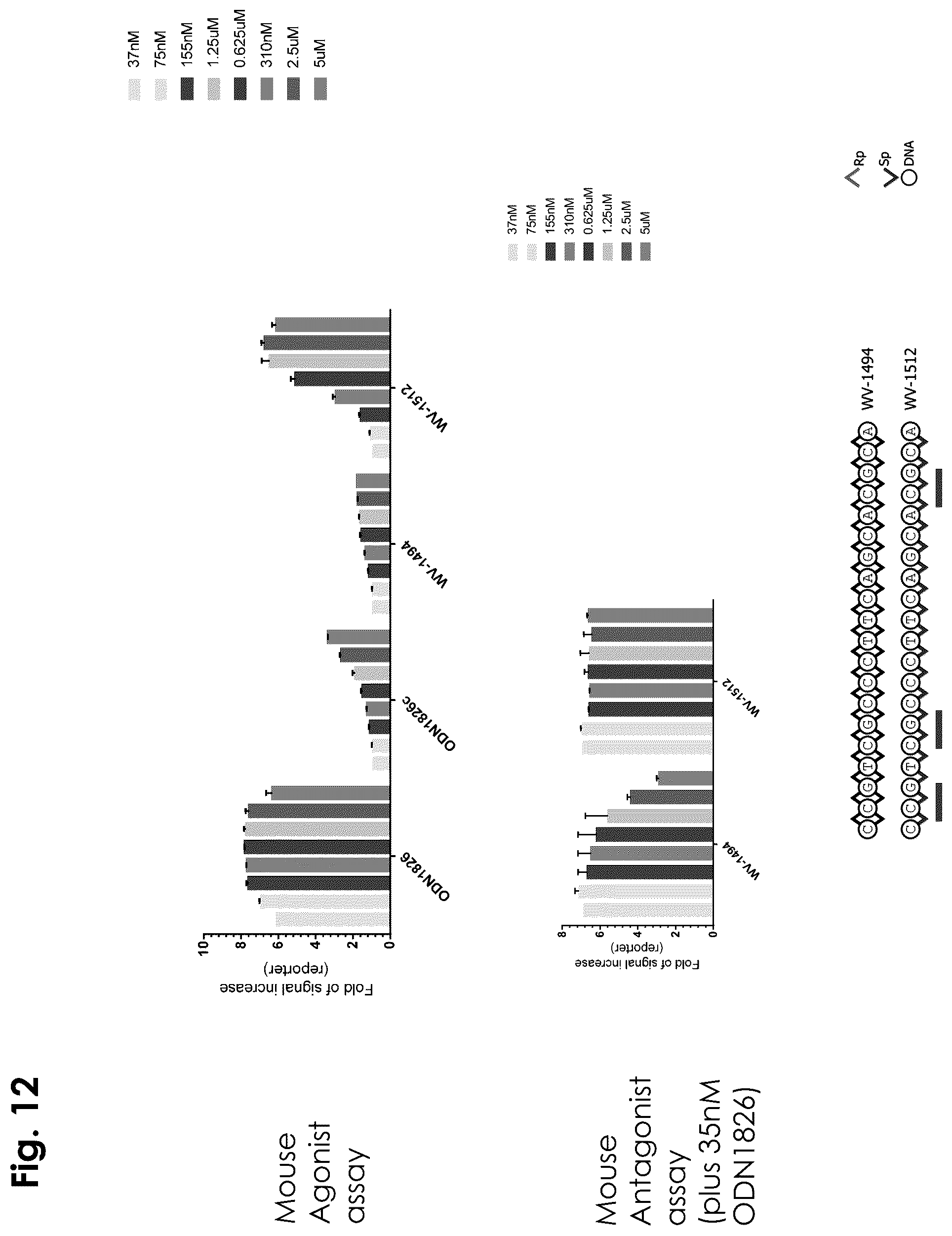 Patent US12403156 Figure 12 – Oligonucleotides, compositions and methods thereof