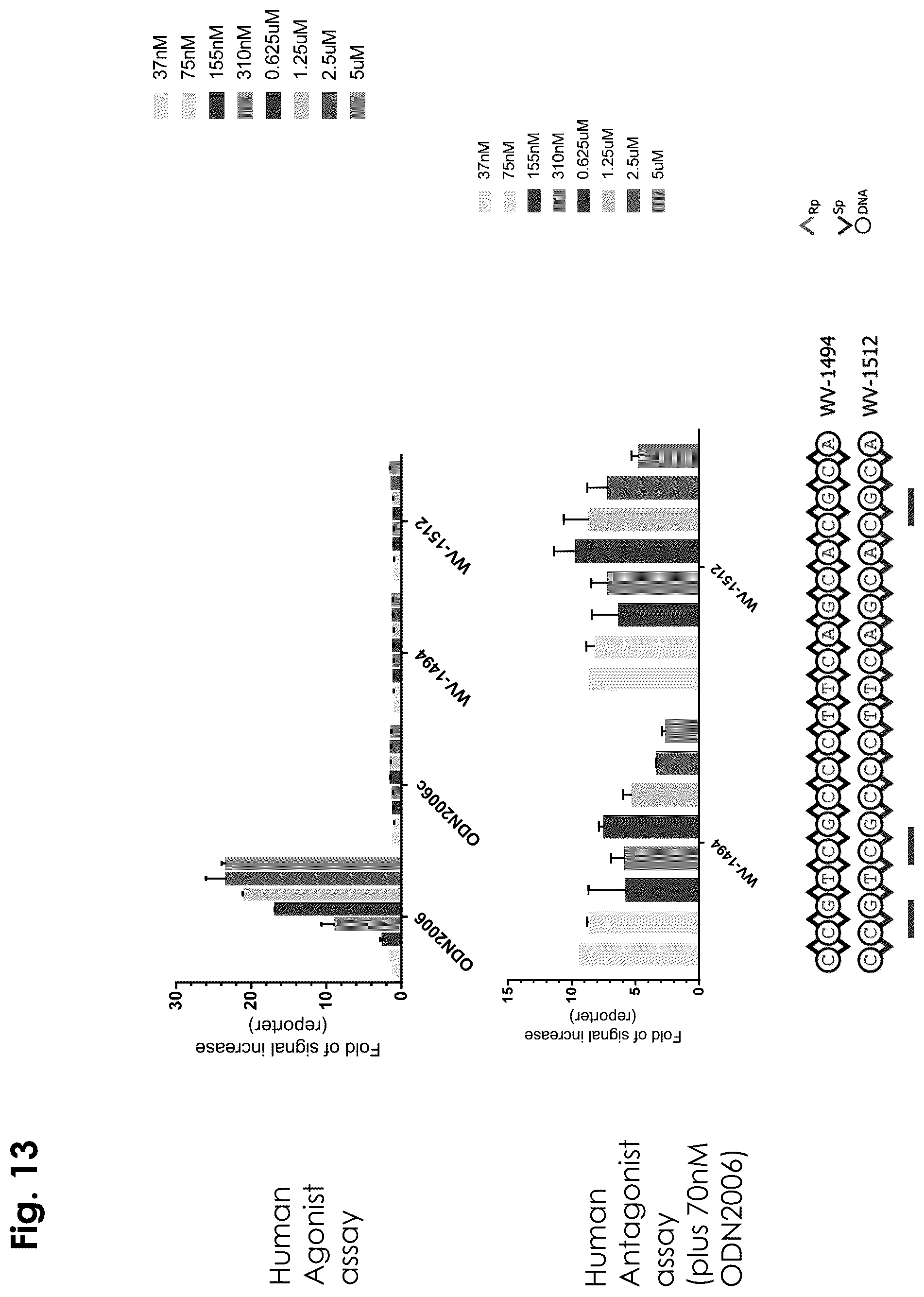 Patent US12403156 Figure 13 – Oligonucleotides, compositions and methods thereof