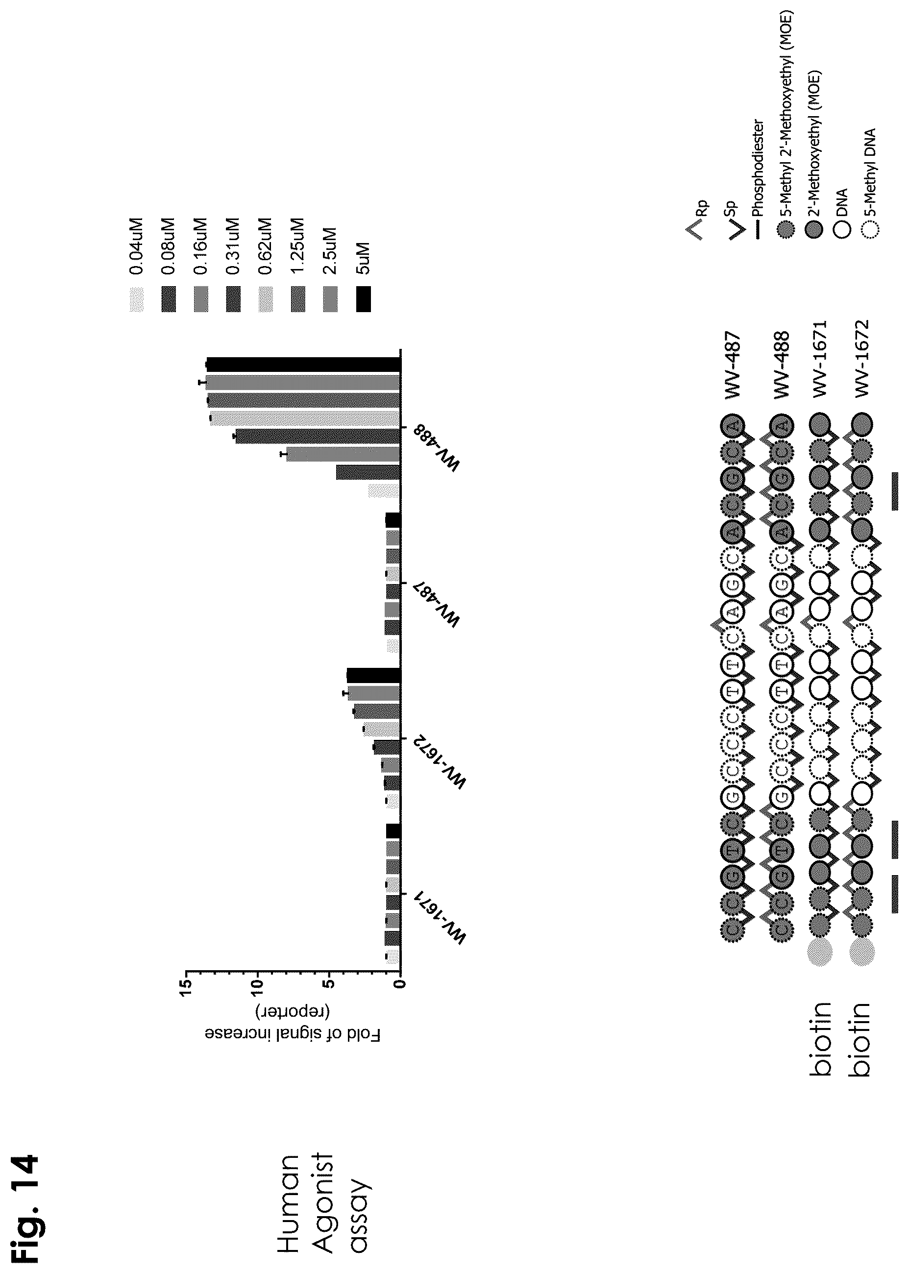 Patent US12403156 Figure 14 – Oligonucleotides, compositions and methods thereof
