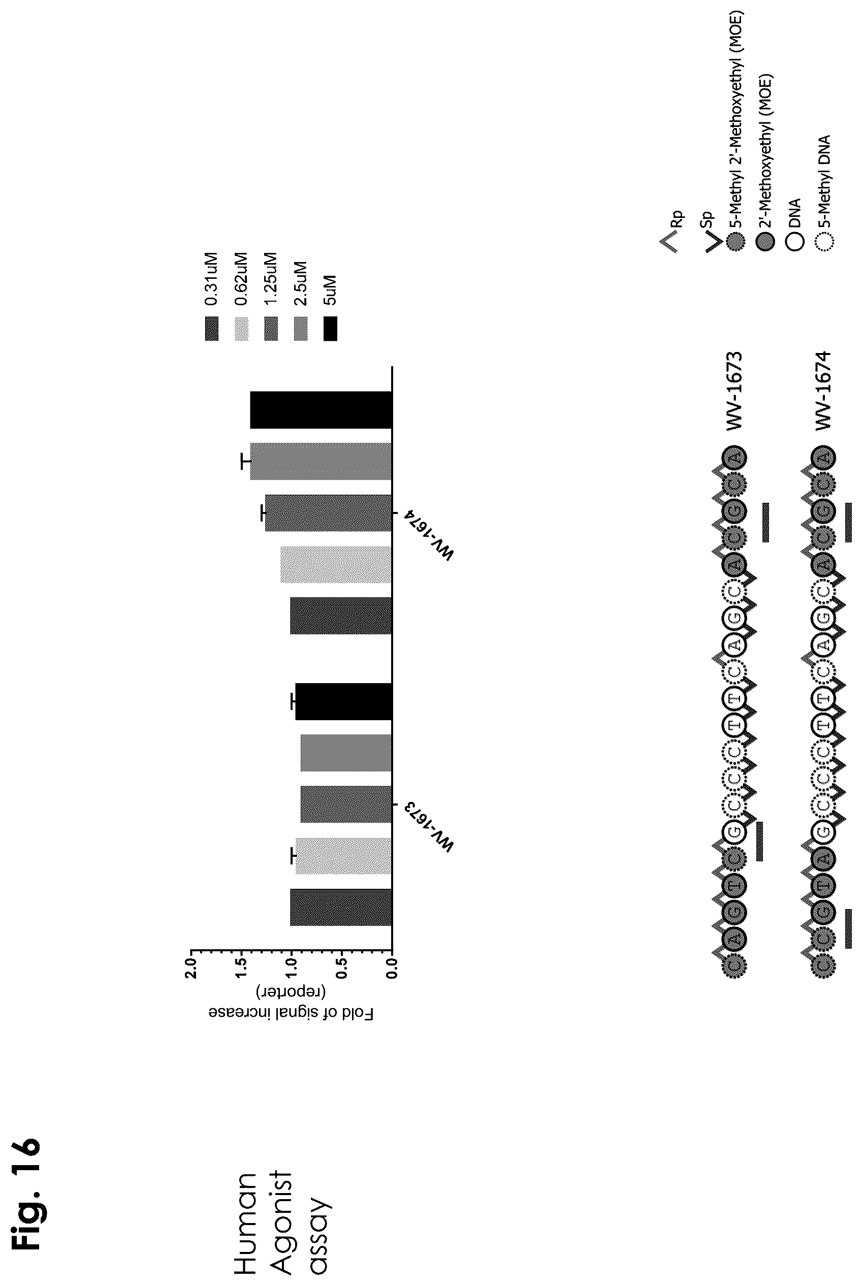 Patent US12403156 Figure 16 – Oligonucleotides, compositions and methods thereof