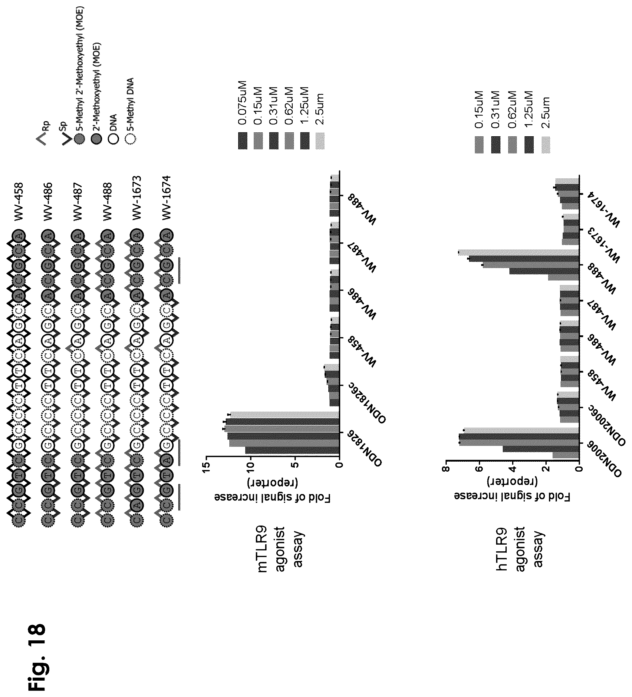 Patent US12403156 Figure 18 – Oligonucleotides, compositions and methods thereof
