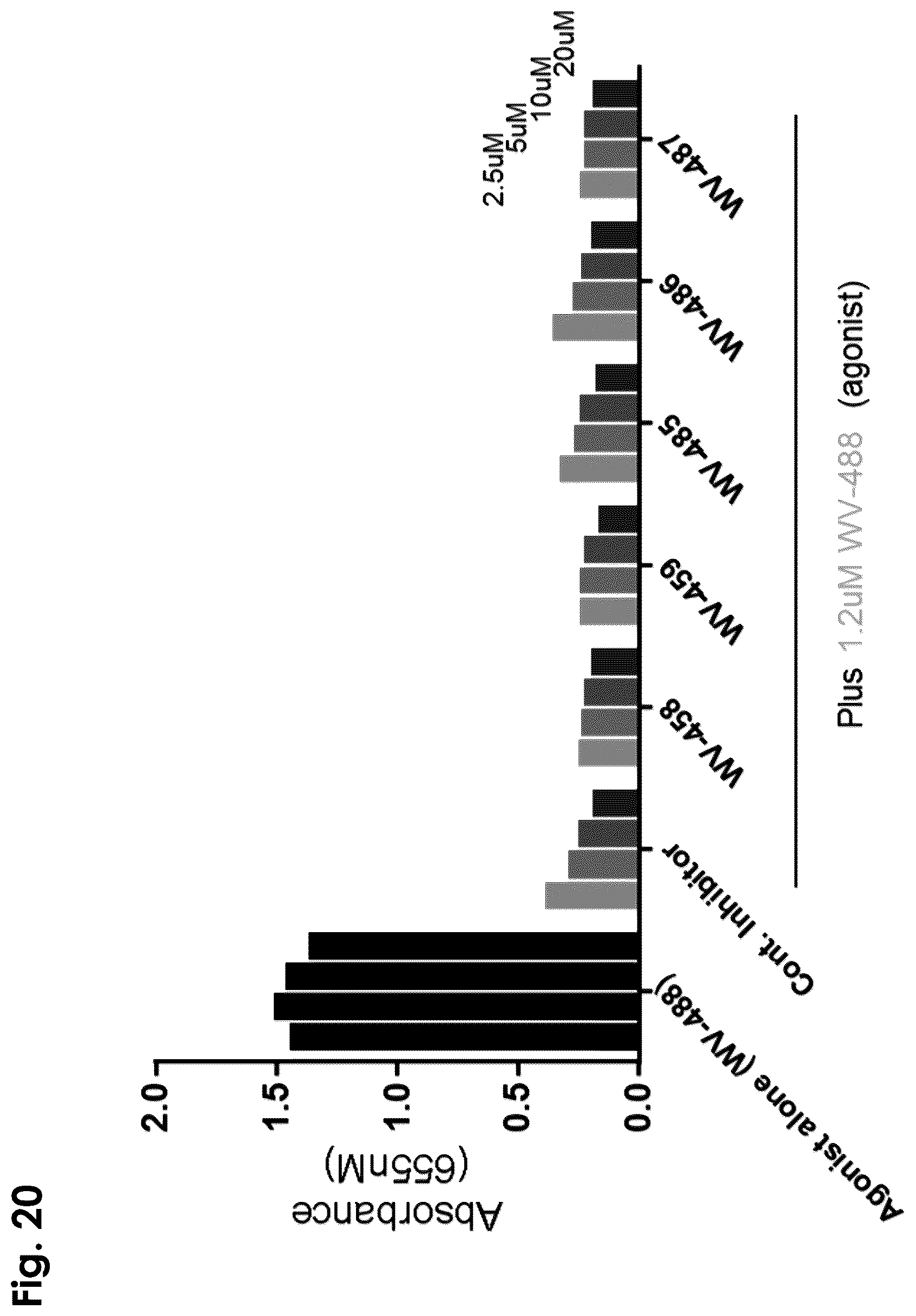 Patent US12403156 Figure 20 – Oligonucleotides, compositions and methods thereof
