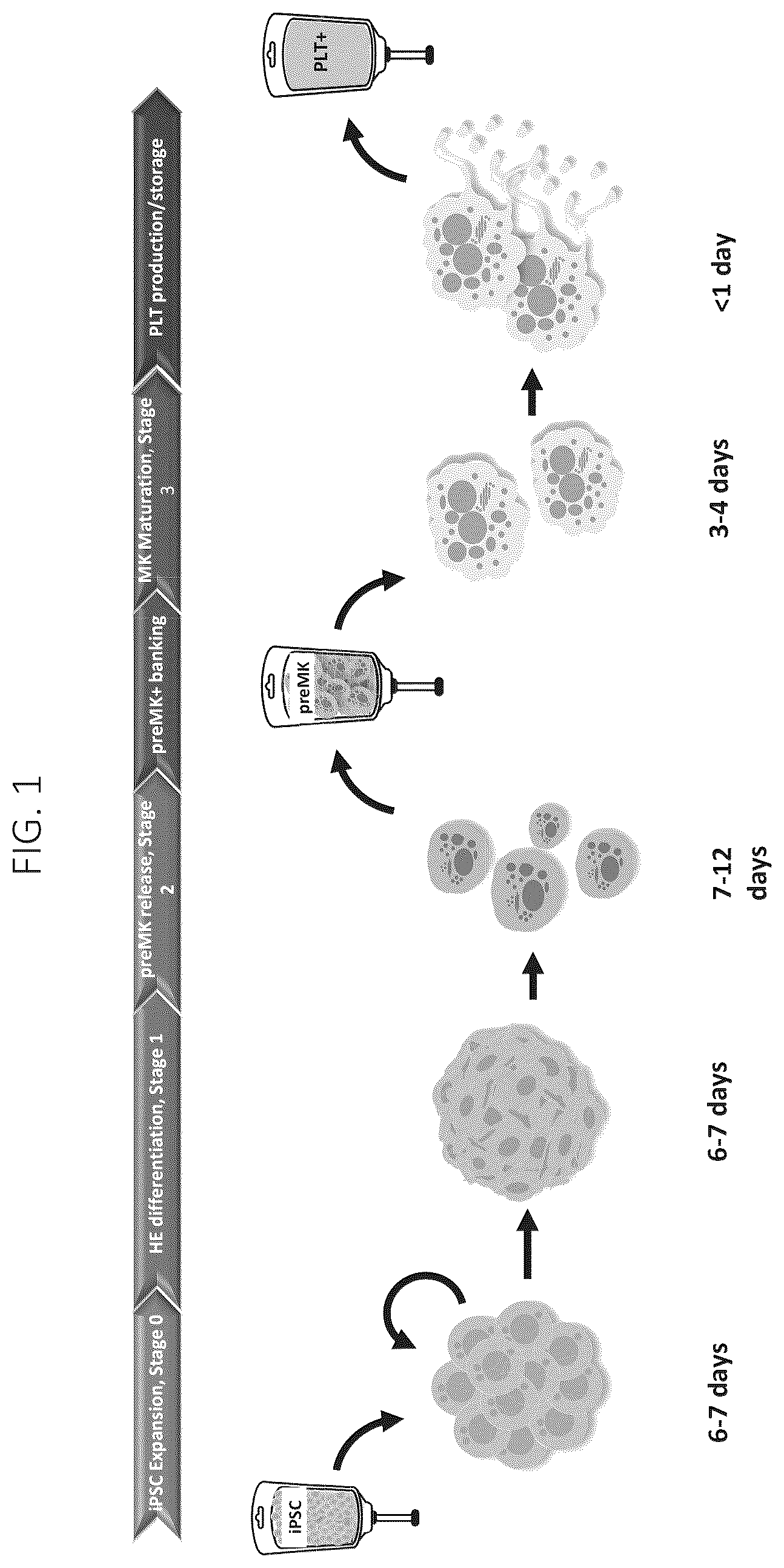 Patent US12403161 — Compositions for drug delivery and methods of use thereof — Figure 1