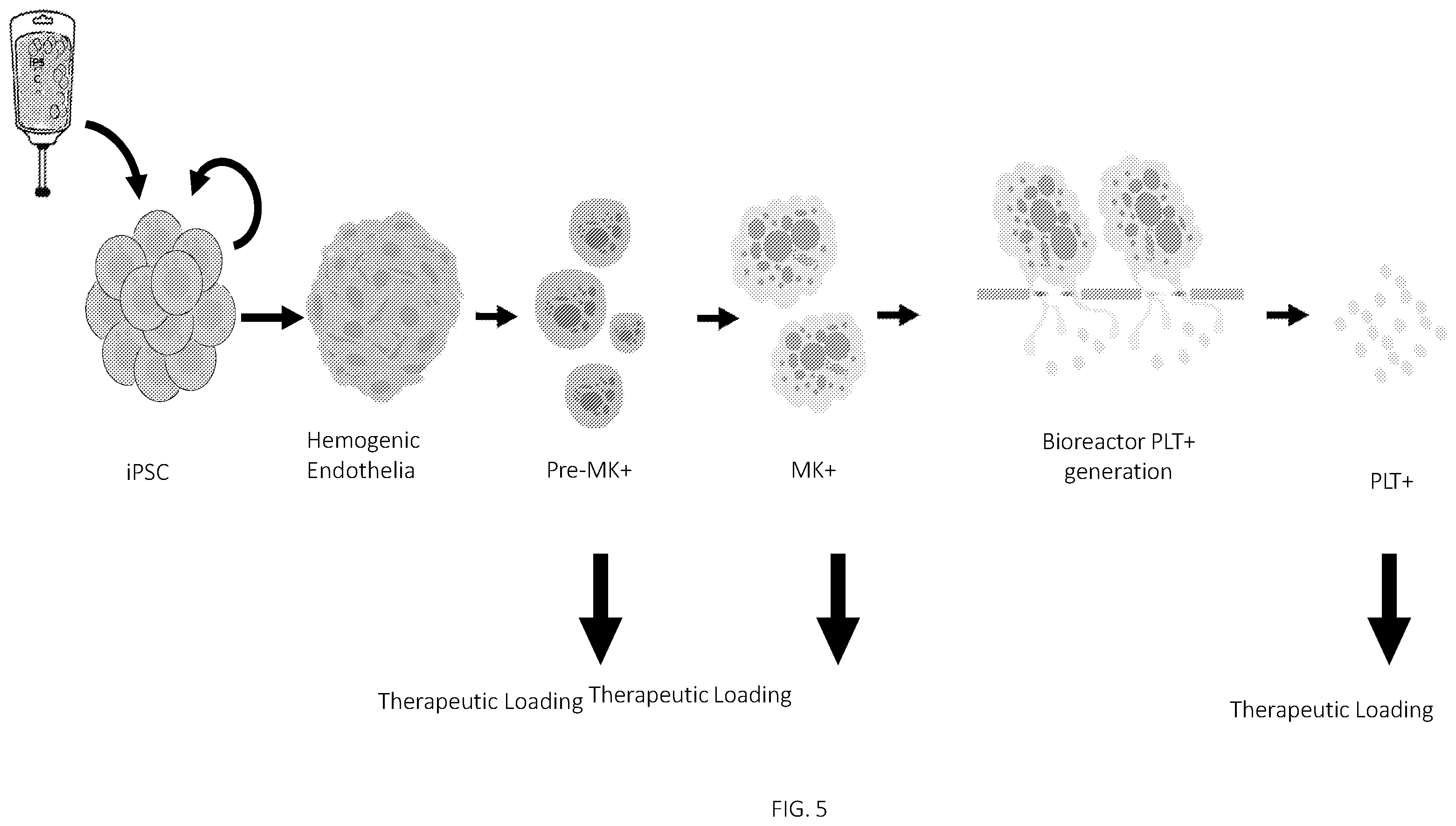 Patent US12403161 Figure 5 – Compositions for drug delivery and methods of use thereof