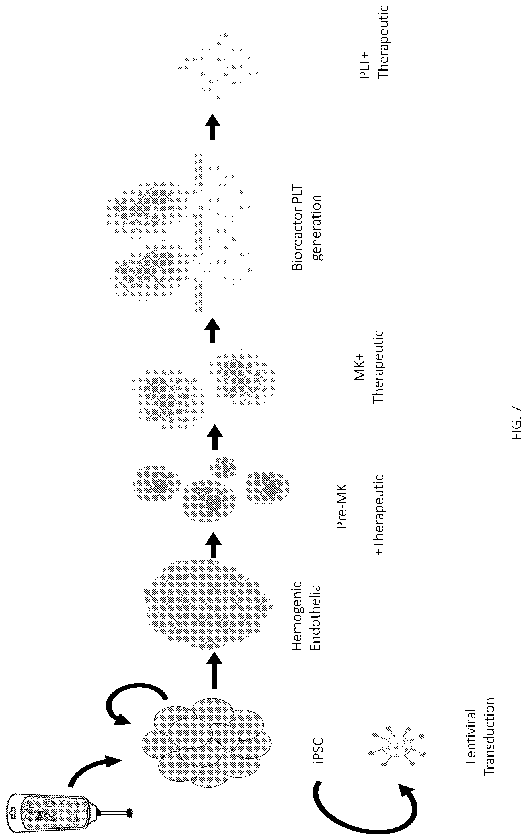 Patent US12403161 Figure 7 – Compositions for drug delivery and methods of use thereof