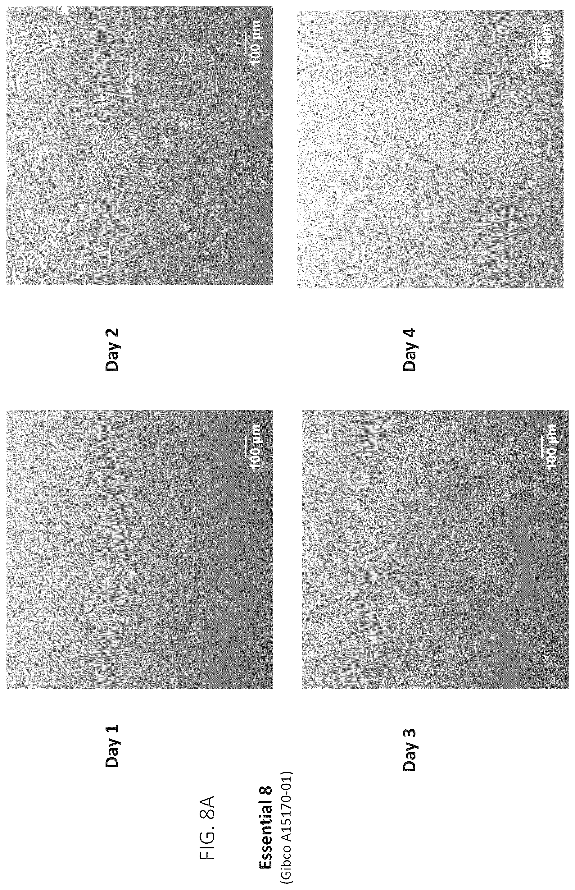 Patent US12403161 Figure 8 – Compositions for drug delivery and methods of use thereof