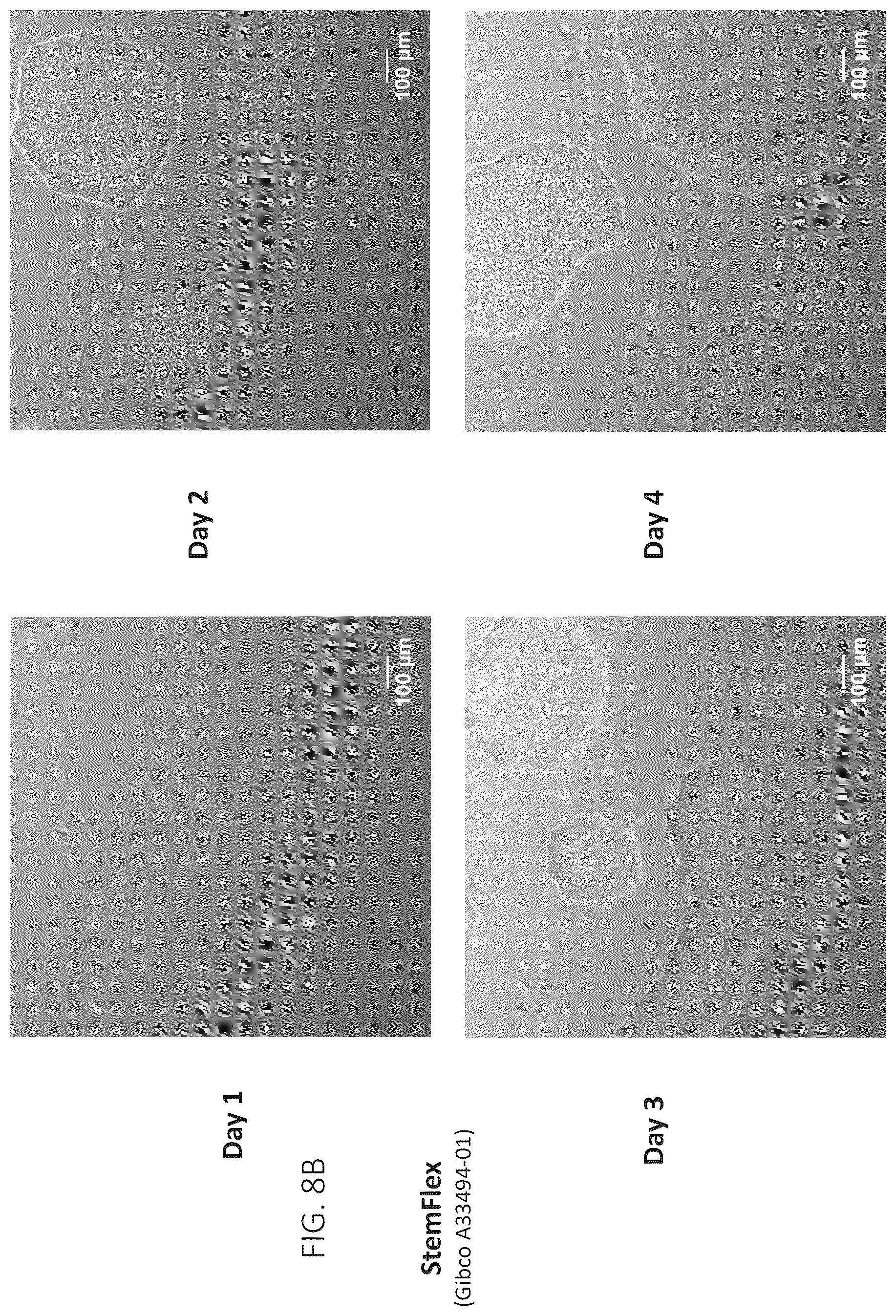 Patent US12403161 Figure 9 – Compositions for drug delivery and methods of use thereof