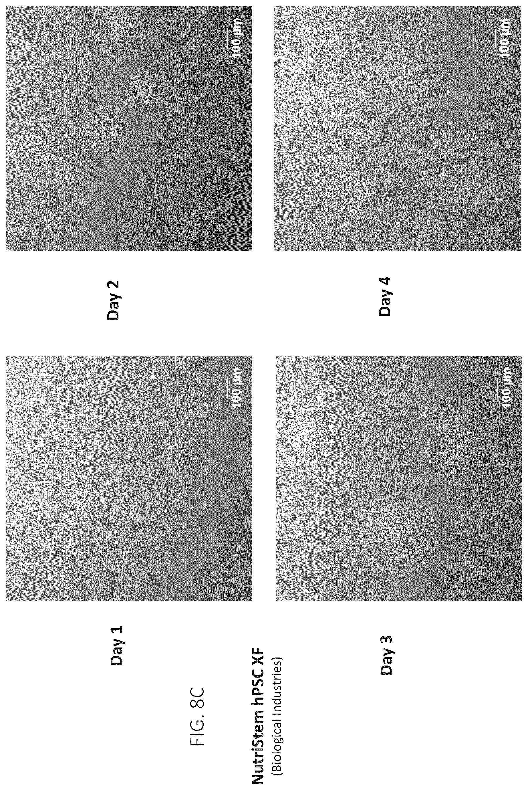 Patent US12403161 Figure 10 – Compositions for drug delivery and methods of use thereof