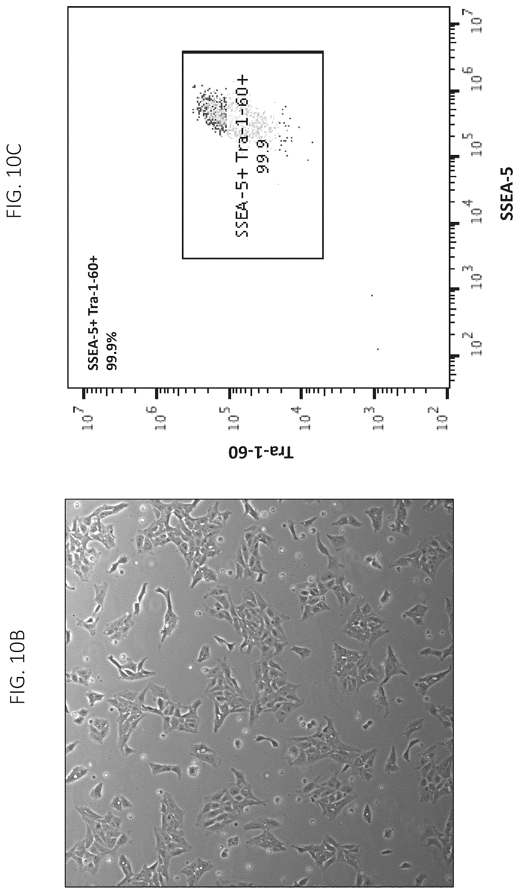 Patent US12403161 Figure 15 – Compositions for drug delivery and methods of use thereof
