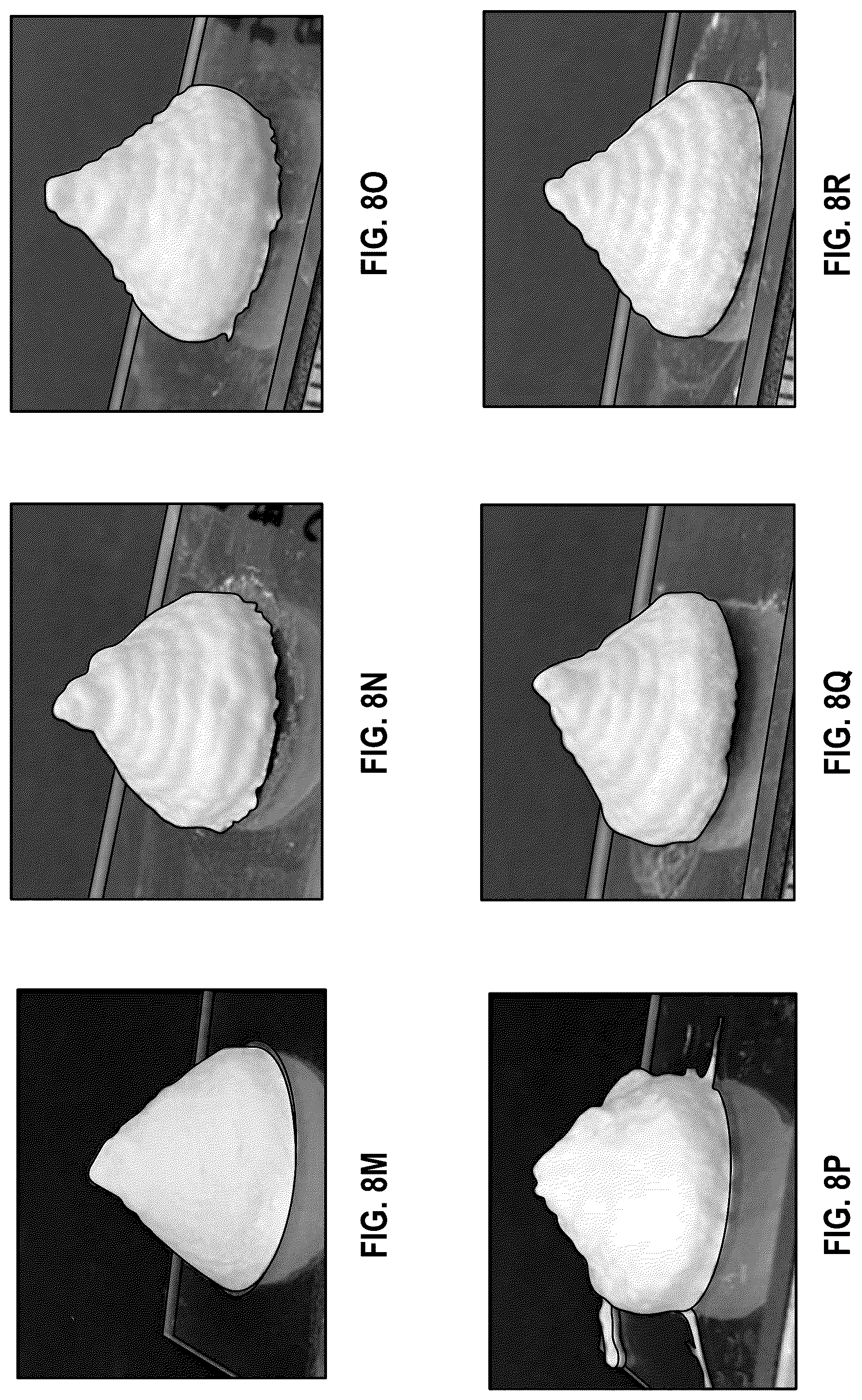 Patent US12403163 Figure 17 – 3D printed, freeze-dried hydrogels and methods of making and using the same