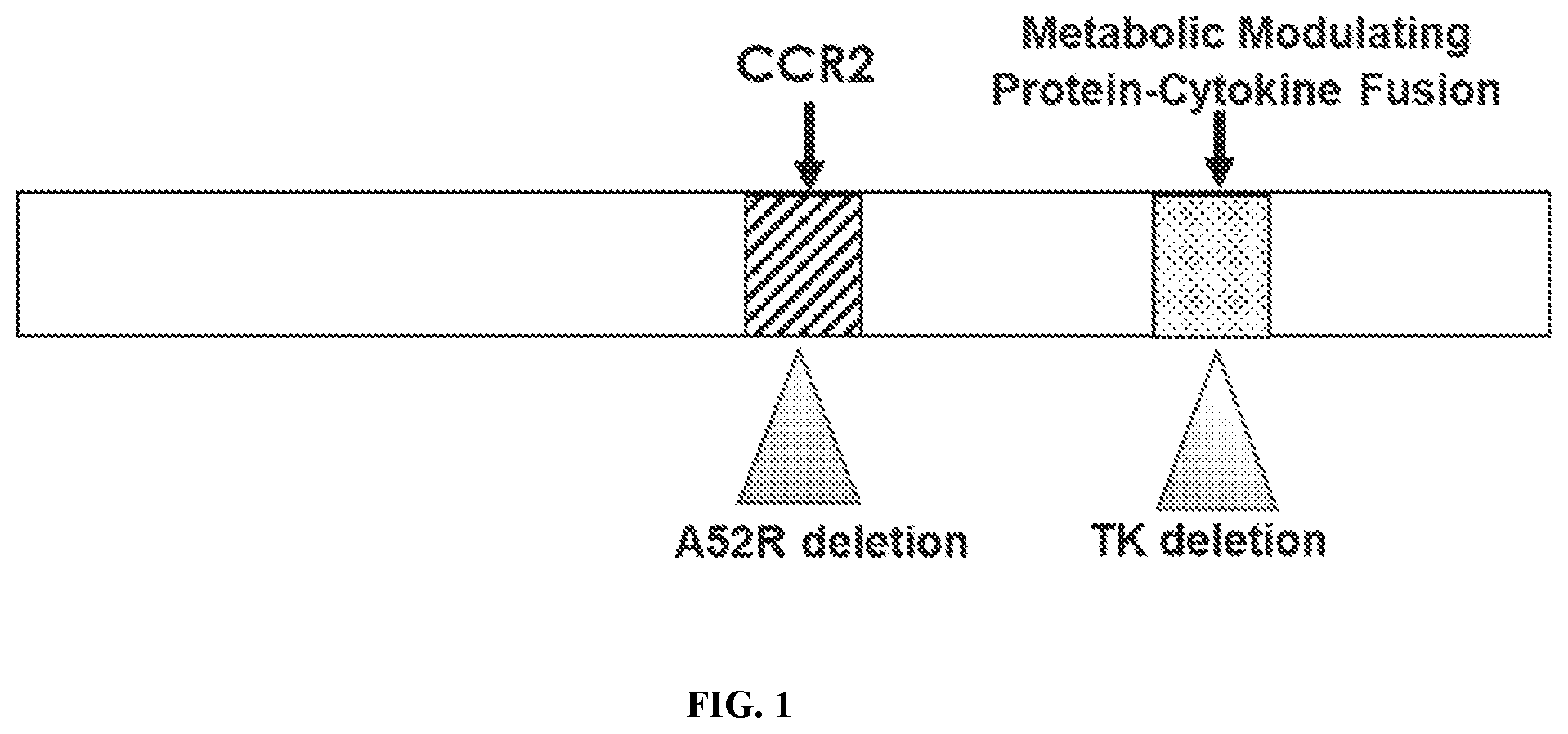 Patent US12403165 Figure 1 – Oncolytic immunotherapy by tumor micro-environment remodeling