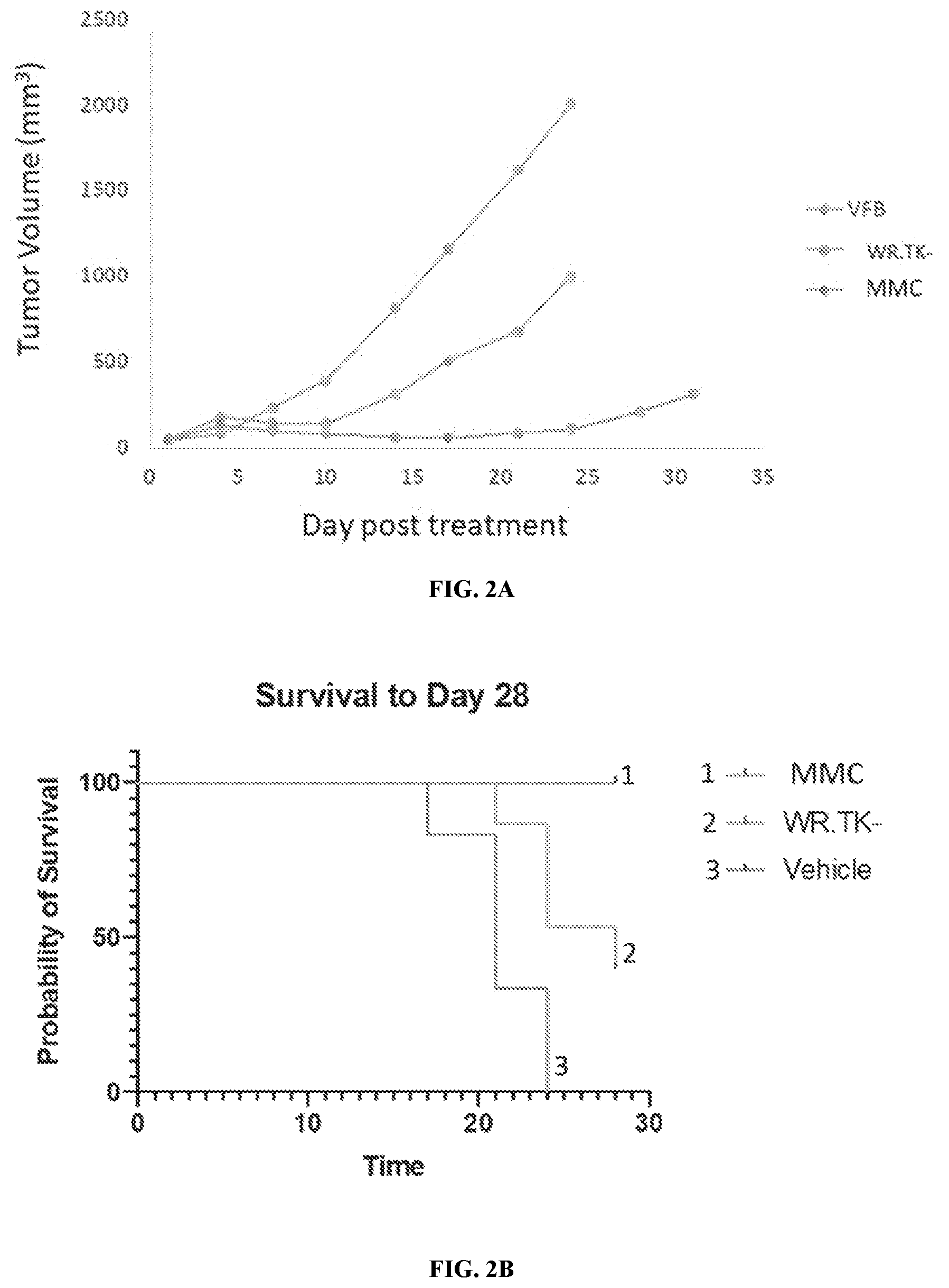 Patent US12403165 Figure 2 – Oncolytic immunotherapy by tumor micro-environment remodeling