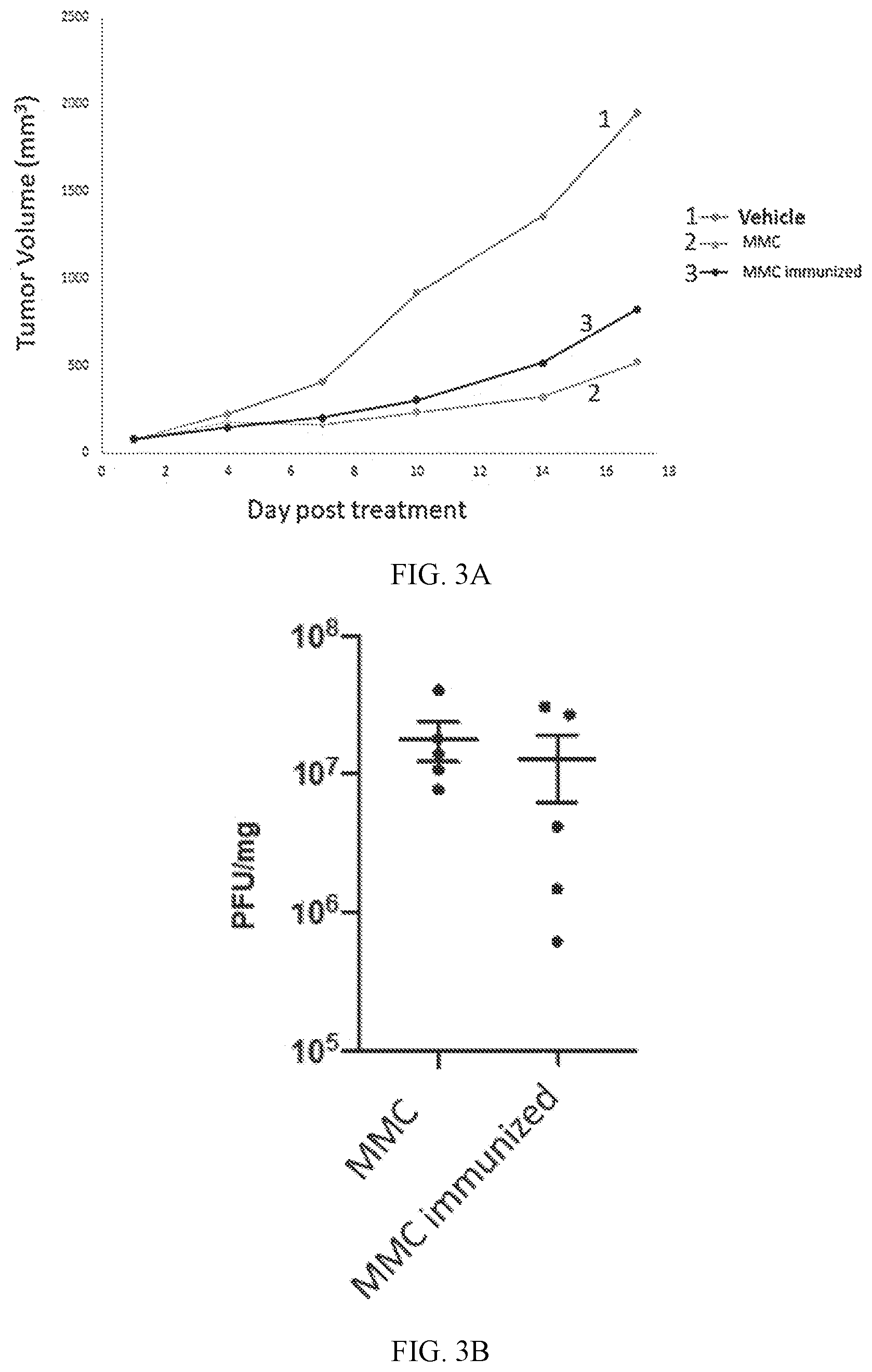 Patent US12403165 Figure 4 – Oncolytic immunotherapy by tumor micro-environment remodeling