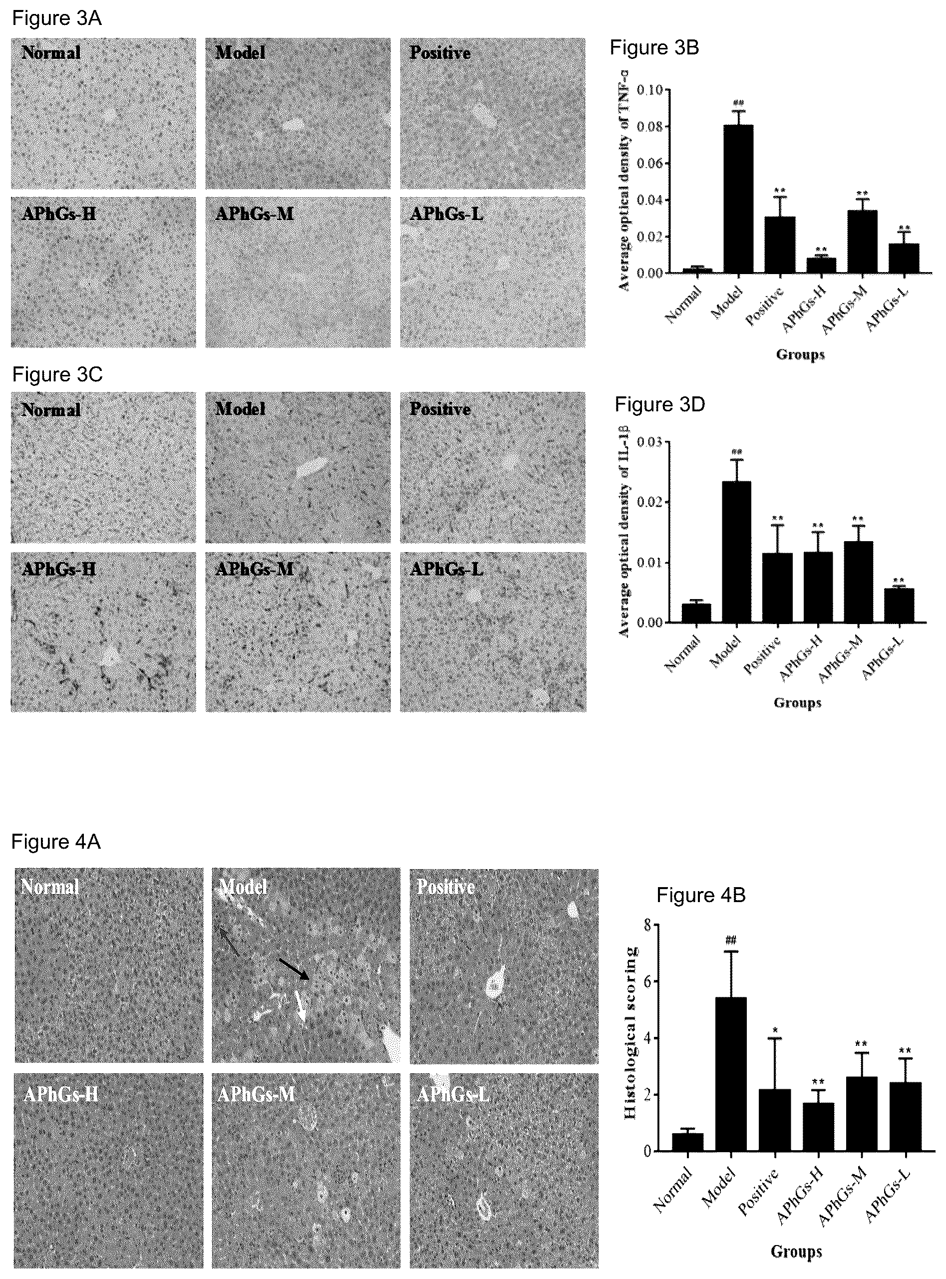 Patent US12403167 Figure 2 – Phenylethanoid glycoside extract from Acanthus ilicifolius L., preparation method thereof and use as anti-liver injury medicament