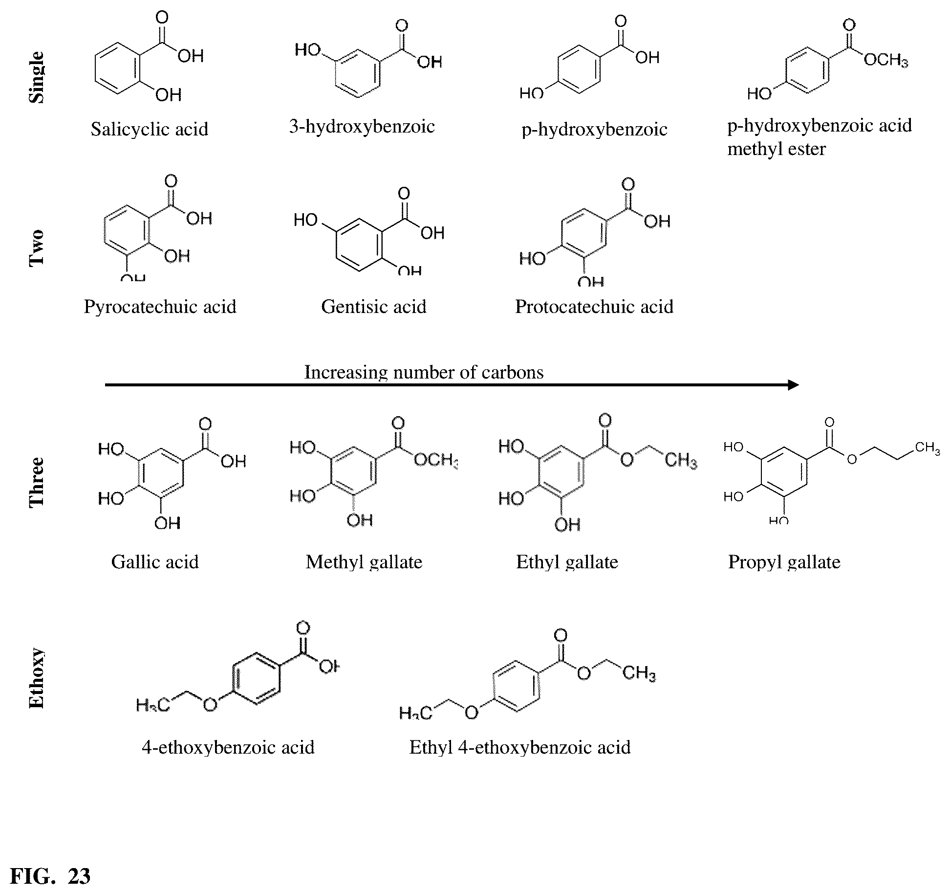 Patent US12403169 Figure 20 – Compositions and methods related to Rhamnus prinoides (gesho) extract for the inhibition of polymicrobial biofilm formation