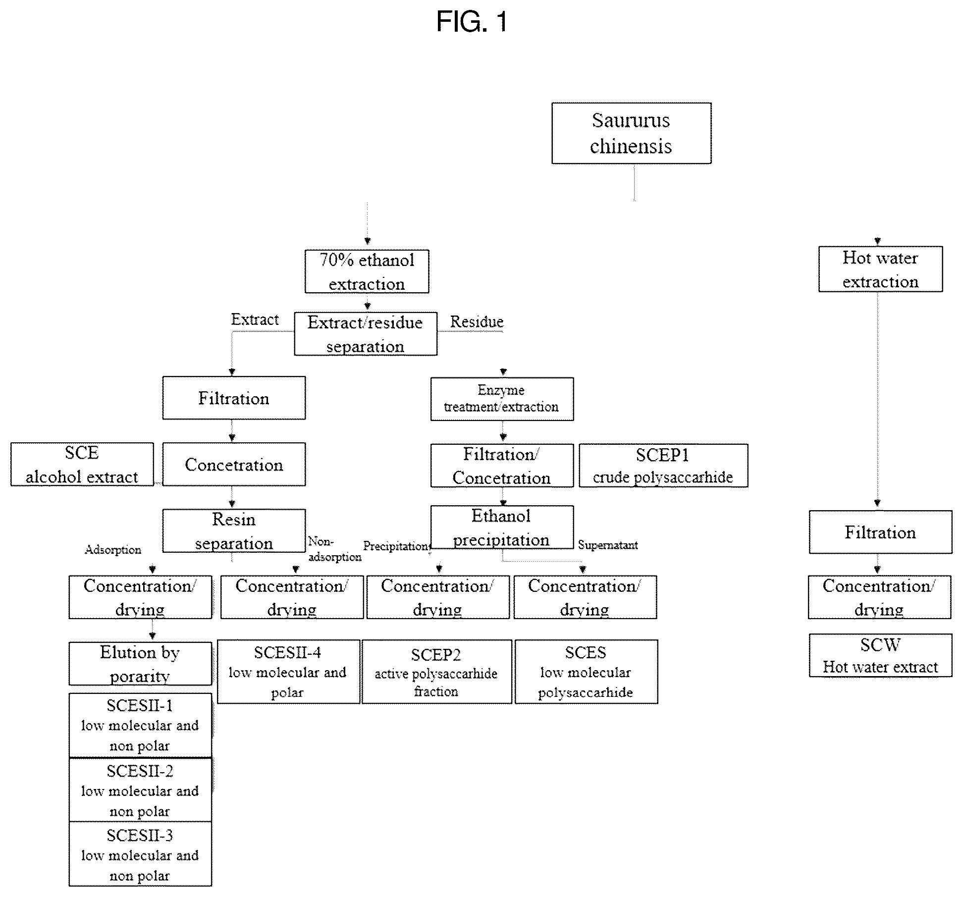 Patent US12403170 — Pharmaceutical composition containing Saururus chinensis fraction, and preparation method thereof — Figure 1