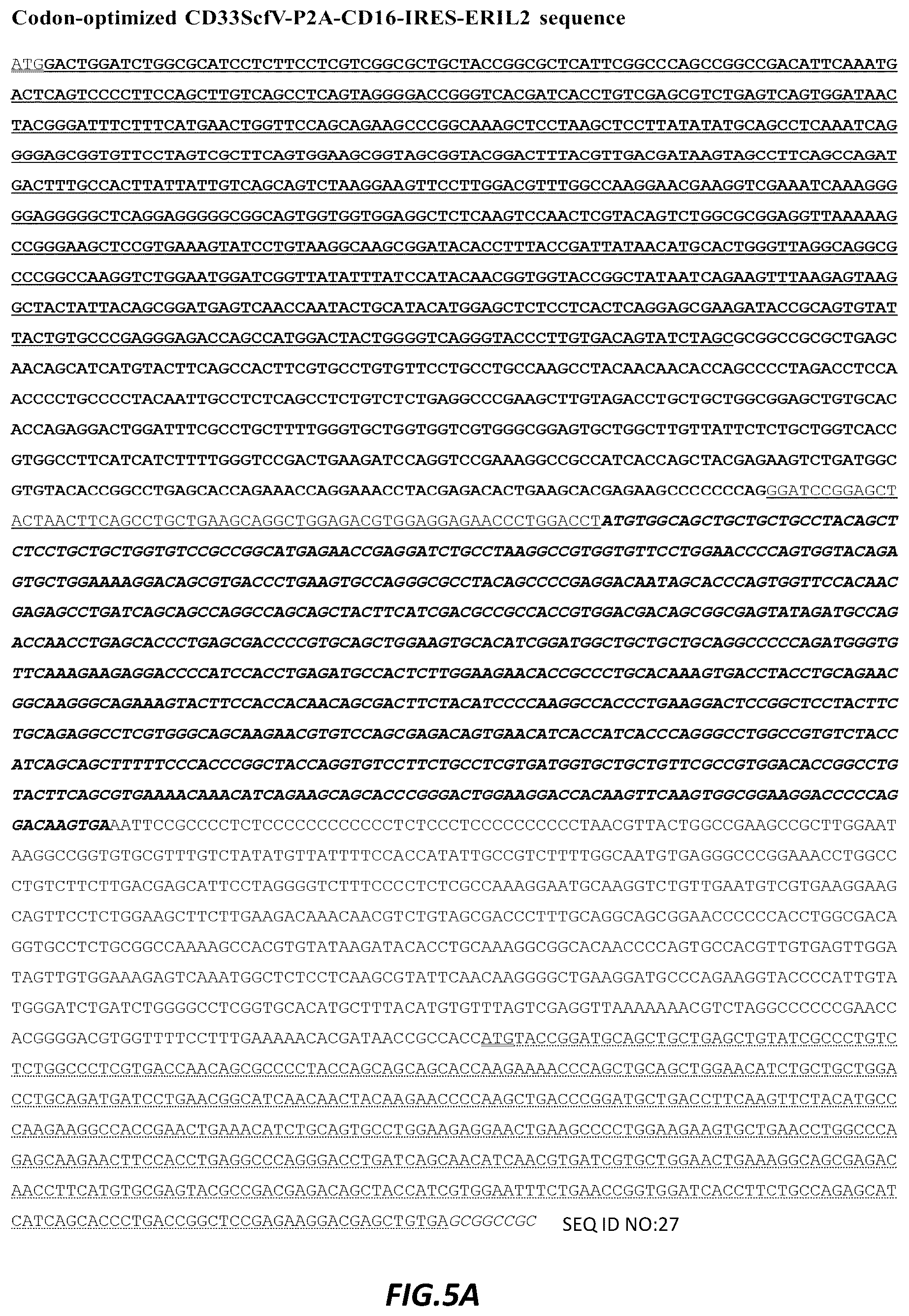 Patent US12403178 Figure 5 – Use of CD33CAR modified high affinity NK cells (t-haNK) to reduce myeloid-derived suppressor cells suppressor activity (or reduce negative impact on NK cell activity)