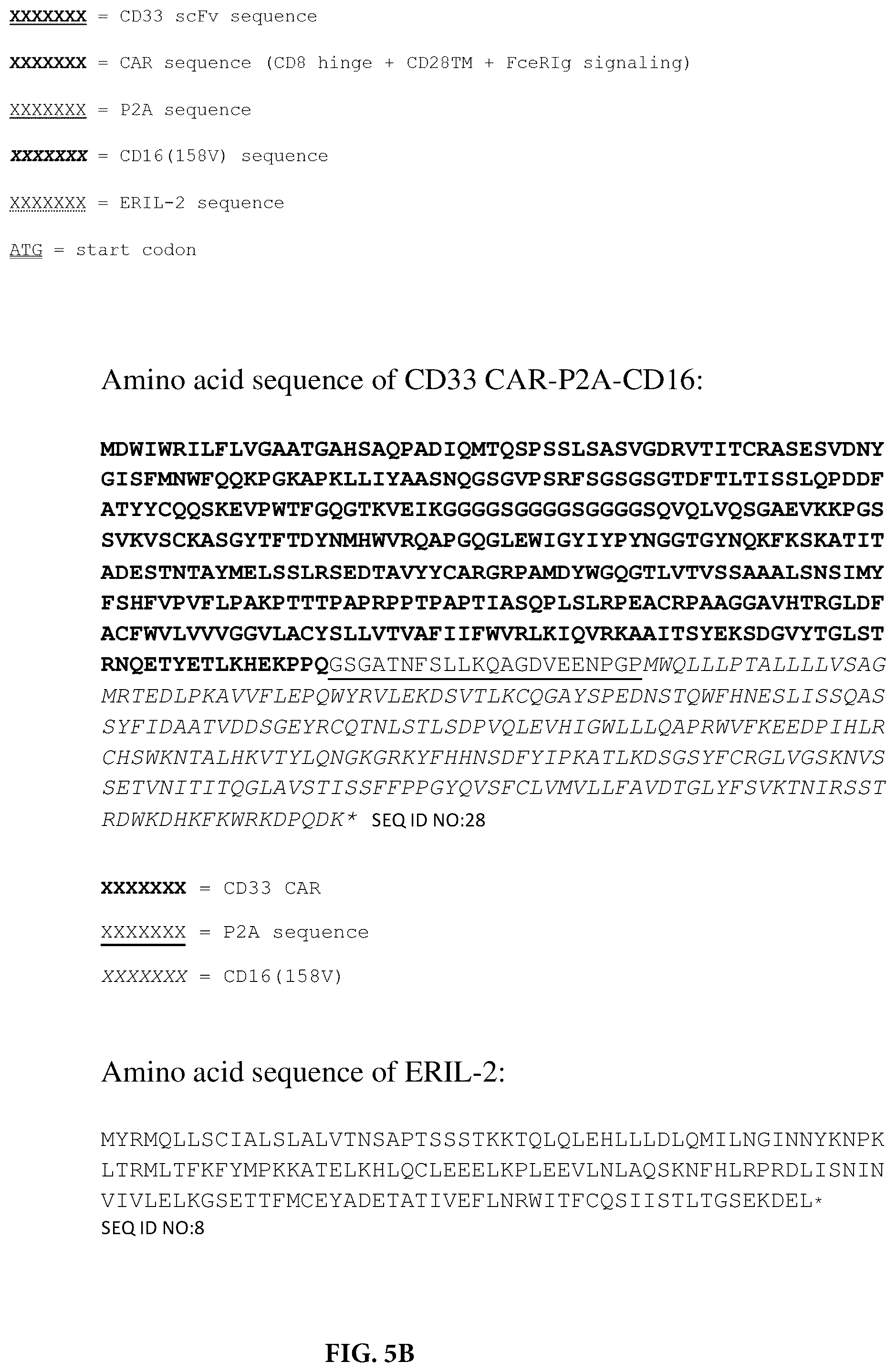 Patent US12403178 Figure 6 – Use of CD33CAR modified high affinity NK cells (t-haNK) to reduce myeloid-derived suppressor cells suppressor activity (or reduce negative impact on NK cell activity)