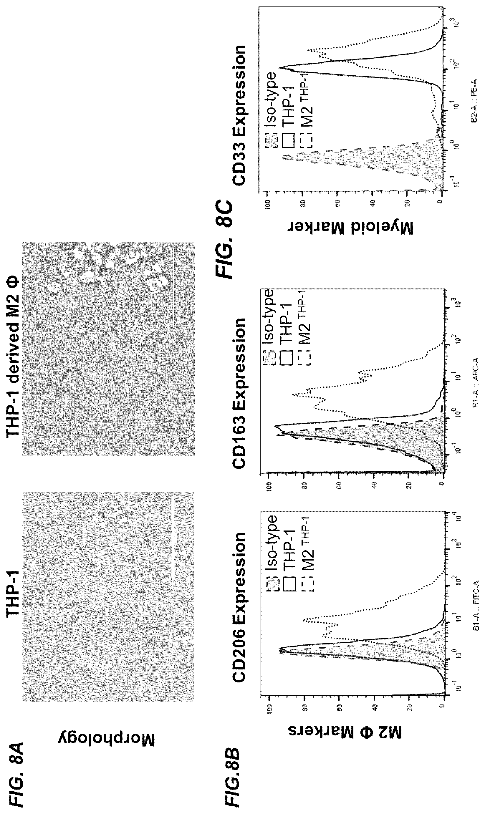 Patent US12403178 Figure 10 – Use of CD33CAR modified high affinity NK cells (t-haNK) to reduce myeloid-derived suppressor cells suppressor activity (or reduce negative impact on NK cell activity)