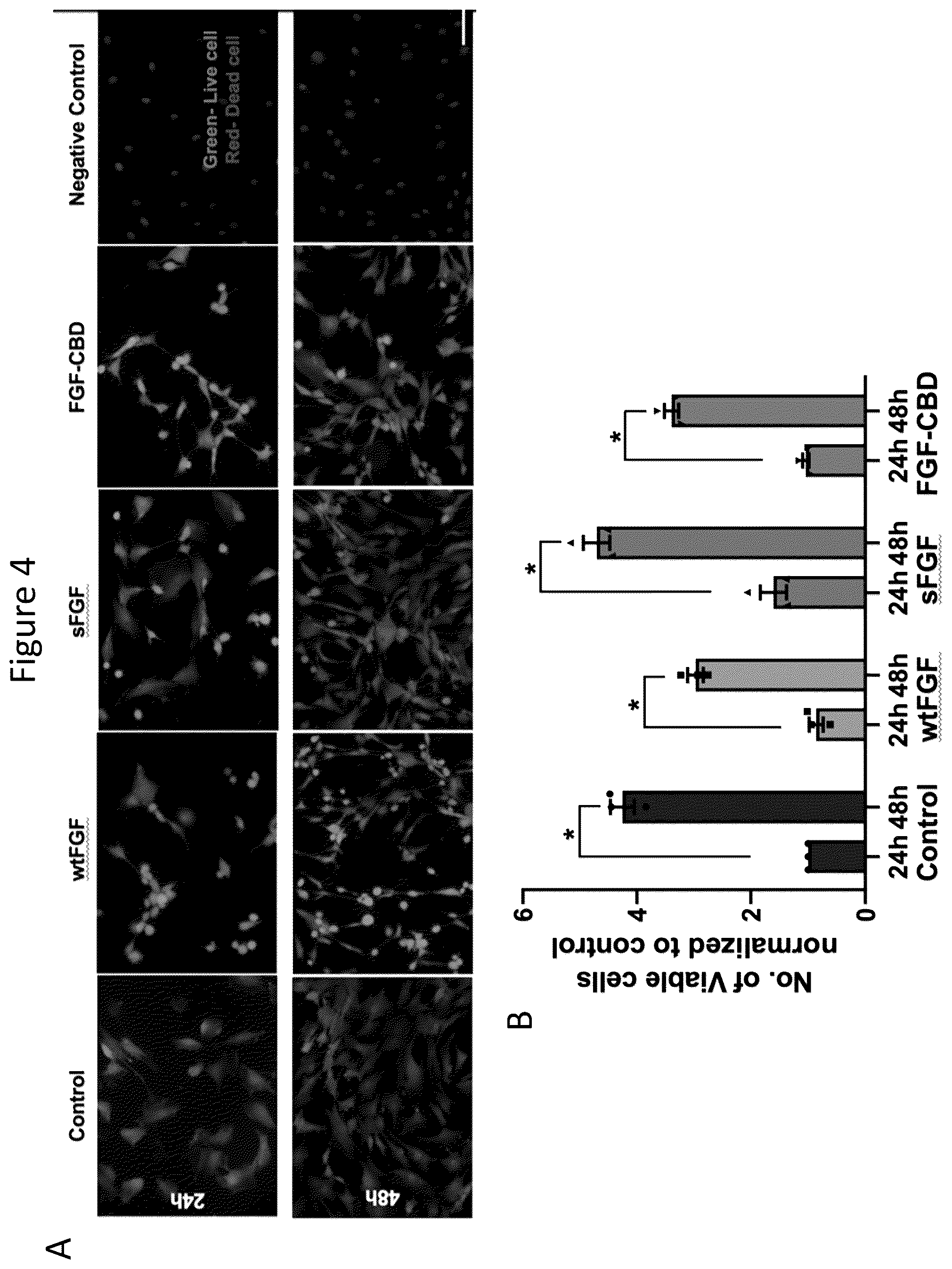 Patent US12403179 Figure 4 – Release of growth factors at wound healing stages