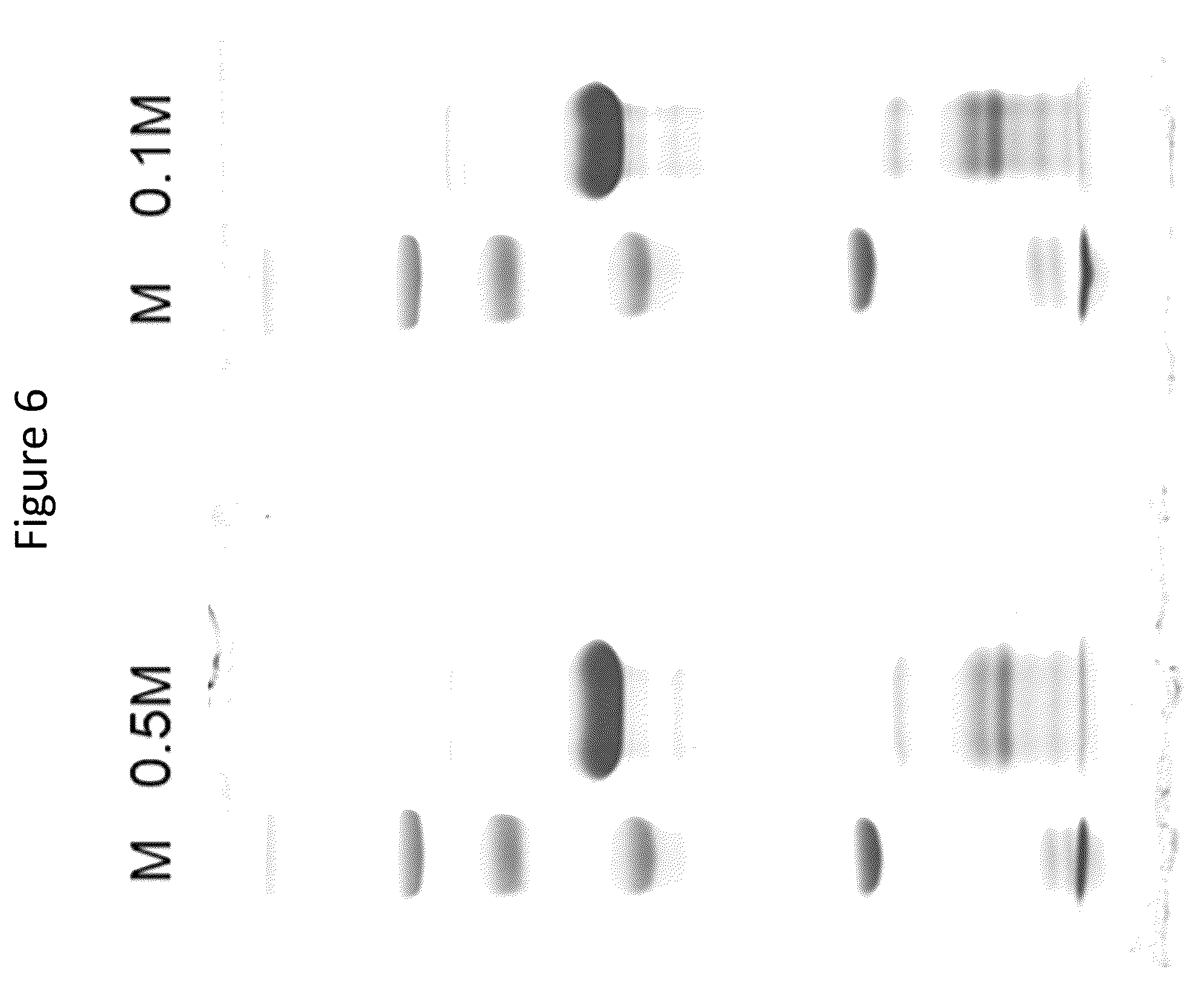 Patent US12403179 Figure 6 – Release of growth factors at wound healing stages