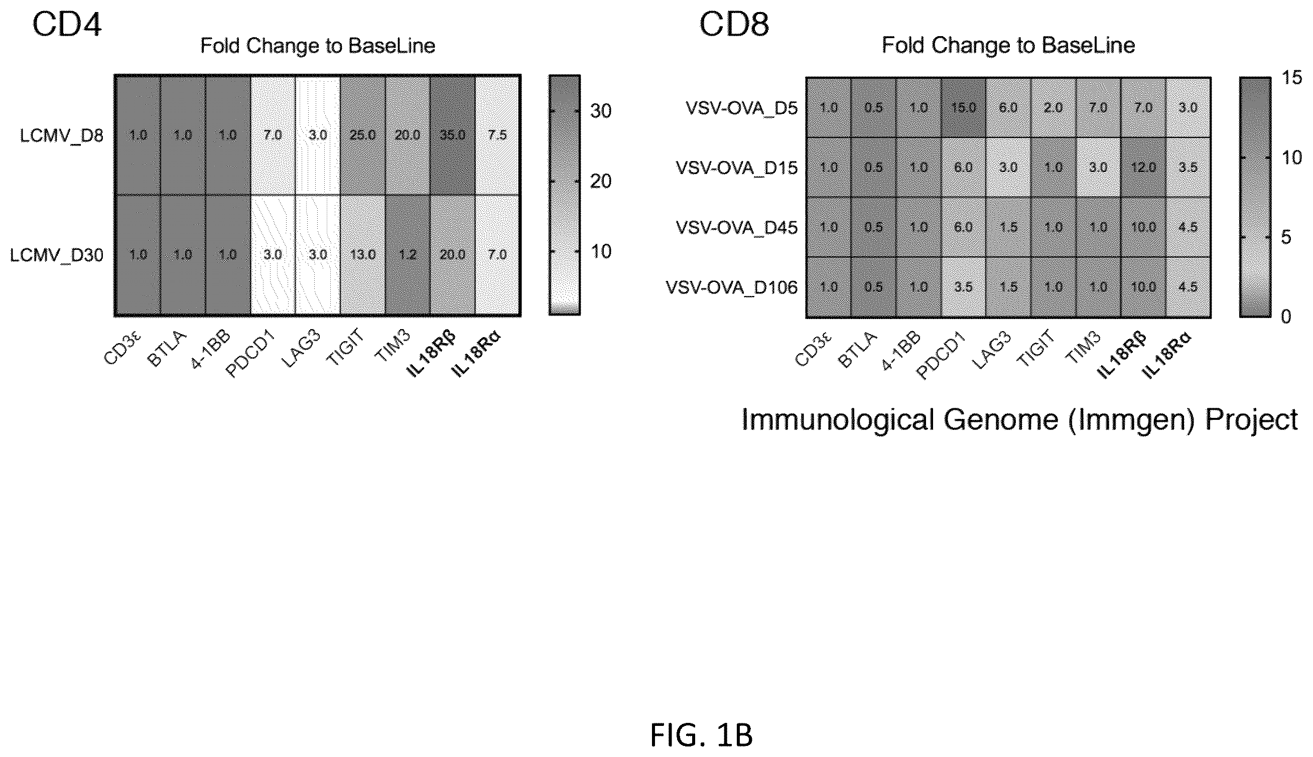 Patent US12403180 Figure 2 – Interleukin-18 variants and methods of use