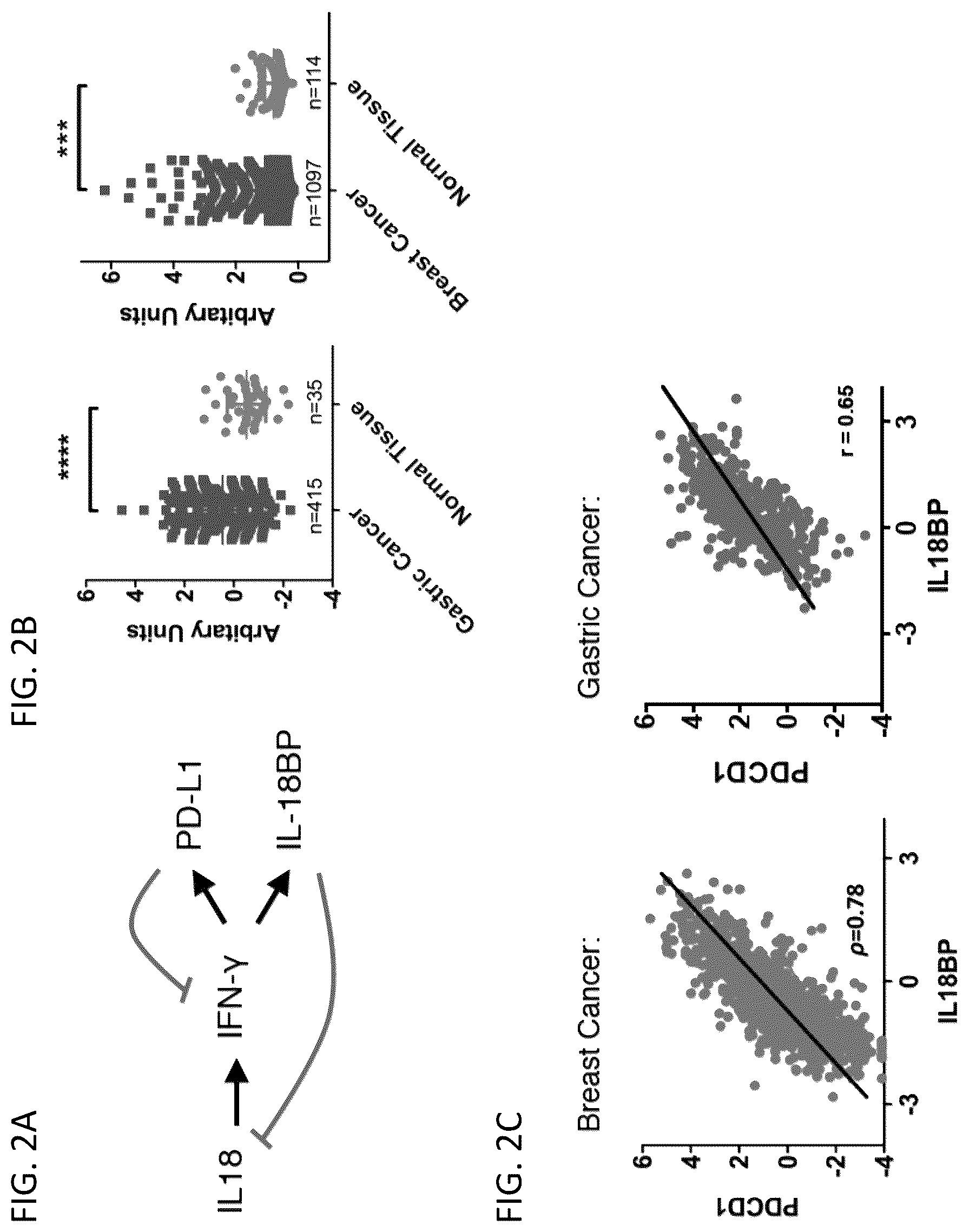 Patent US12403180 Figure 3 – Interleukin-18 variants and methods of use