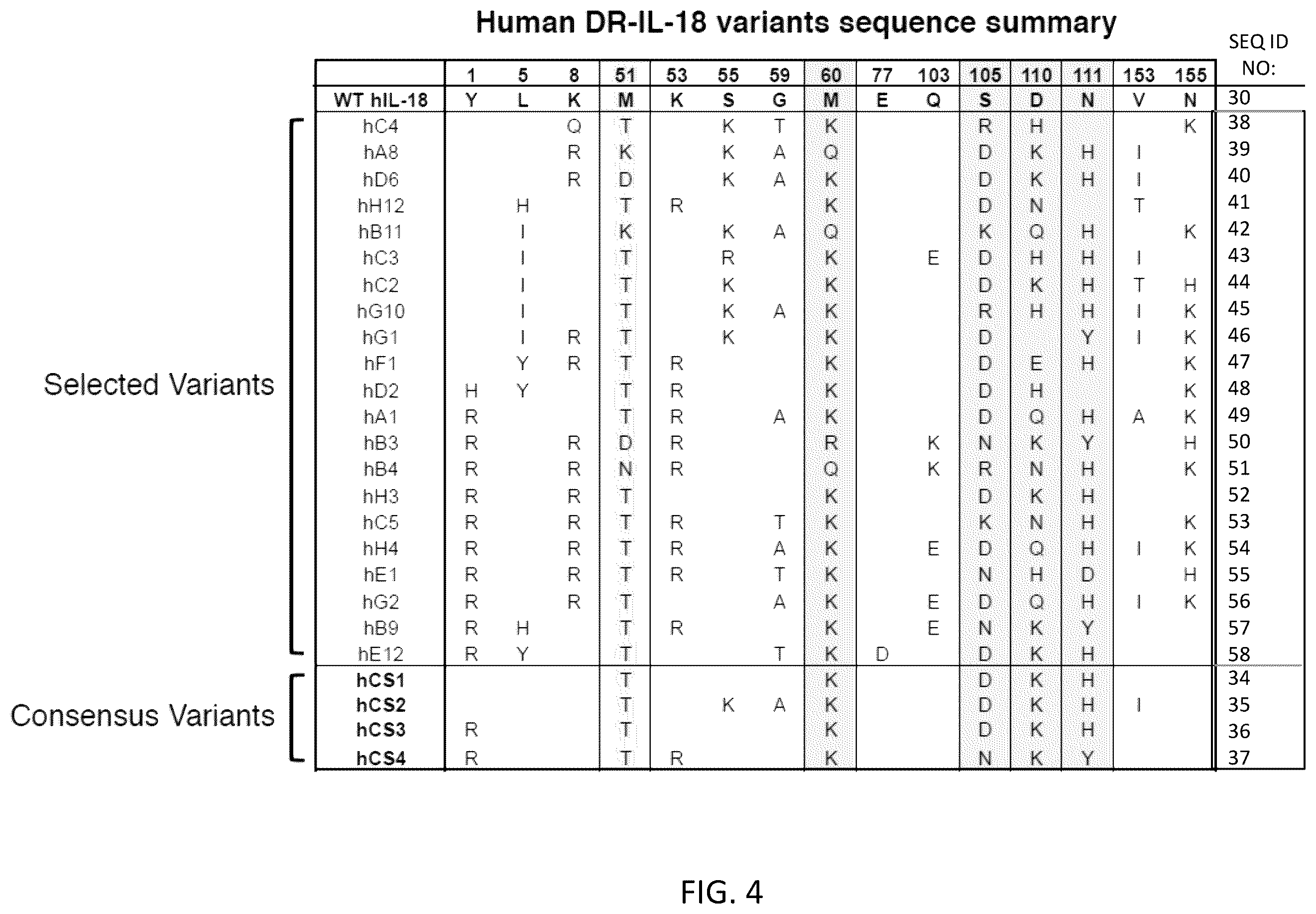 Patent US12403180 Figure 6 – Interleukin-18 variants and methods of use