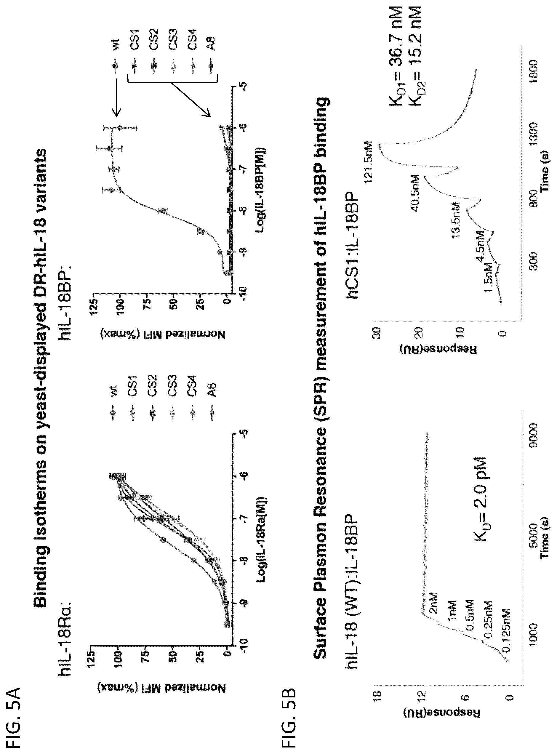 Patent US12403180 Figure 7 – Interleukin-18 variants and methods of use
