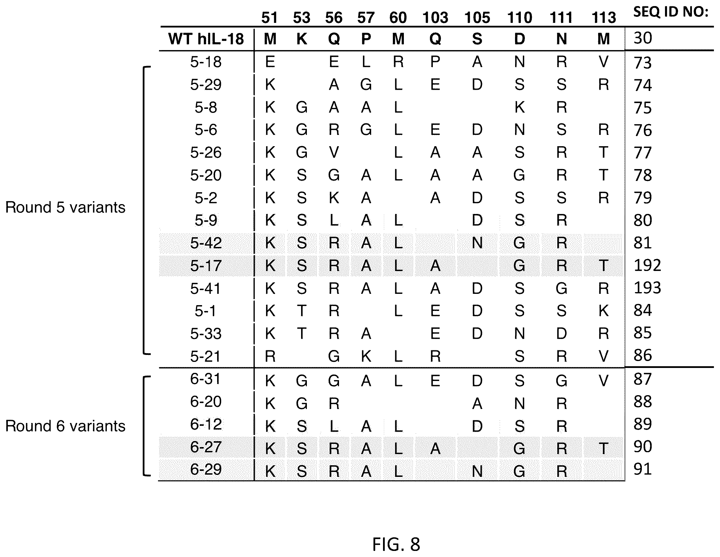 Patent US12403180 Figure 10 – Interleukin-18 variants and methods of use