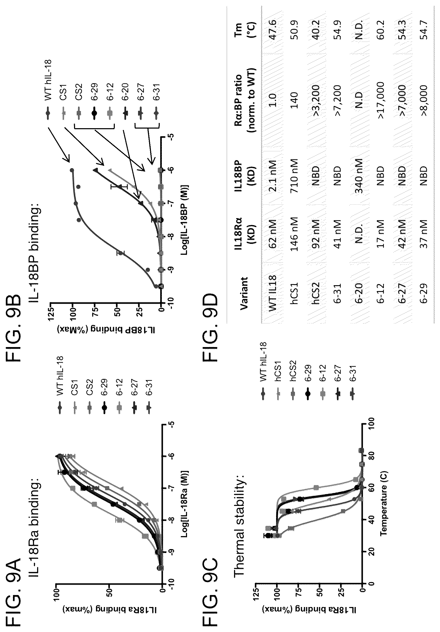 Patent US12403180 Figure 11 – Interleukin-18 variants and methods of use