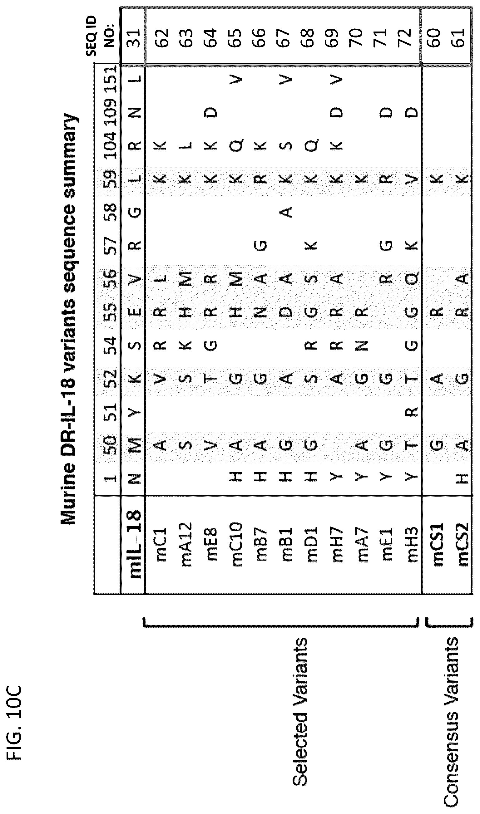 Patent US12403180 Figure 13 – Interleukin-18 variants and methods of use