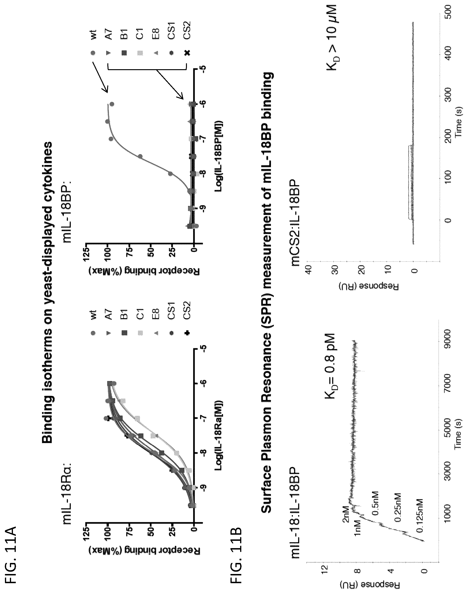Patent US12403180 Figure 14 – Interleukin-18 variants and methods of use