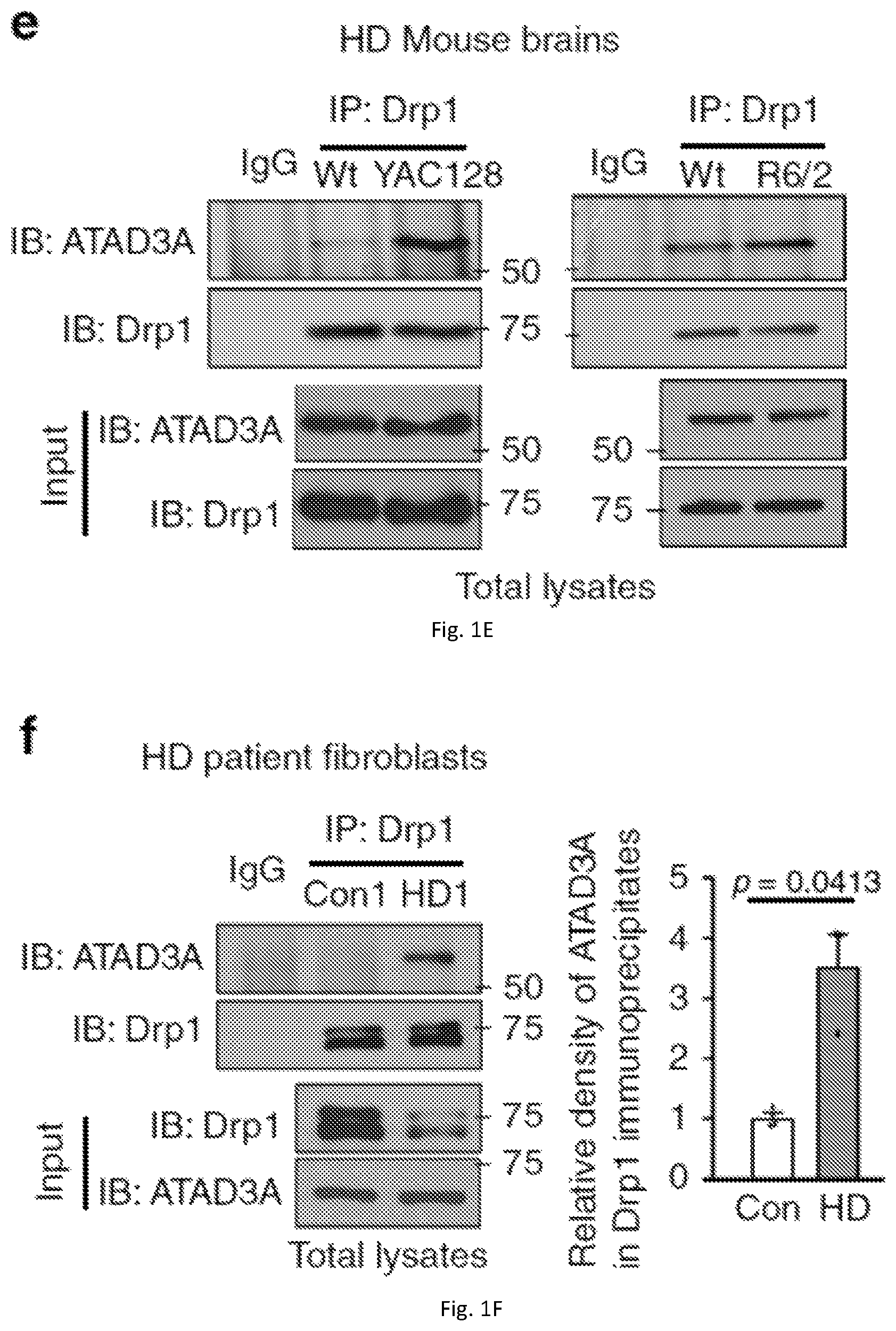 Patent US12403184 Figure 3 – Compositions and methods for treating neurodegenerative disroders
