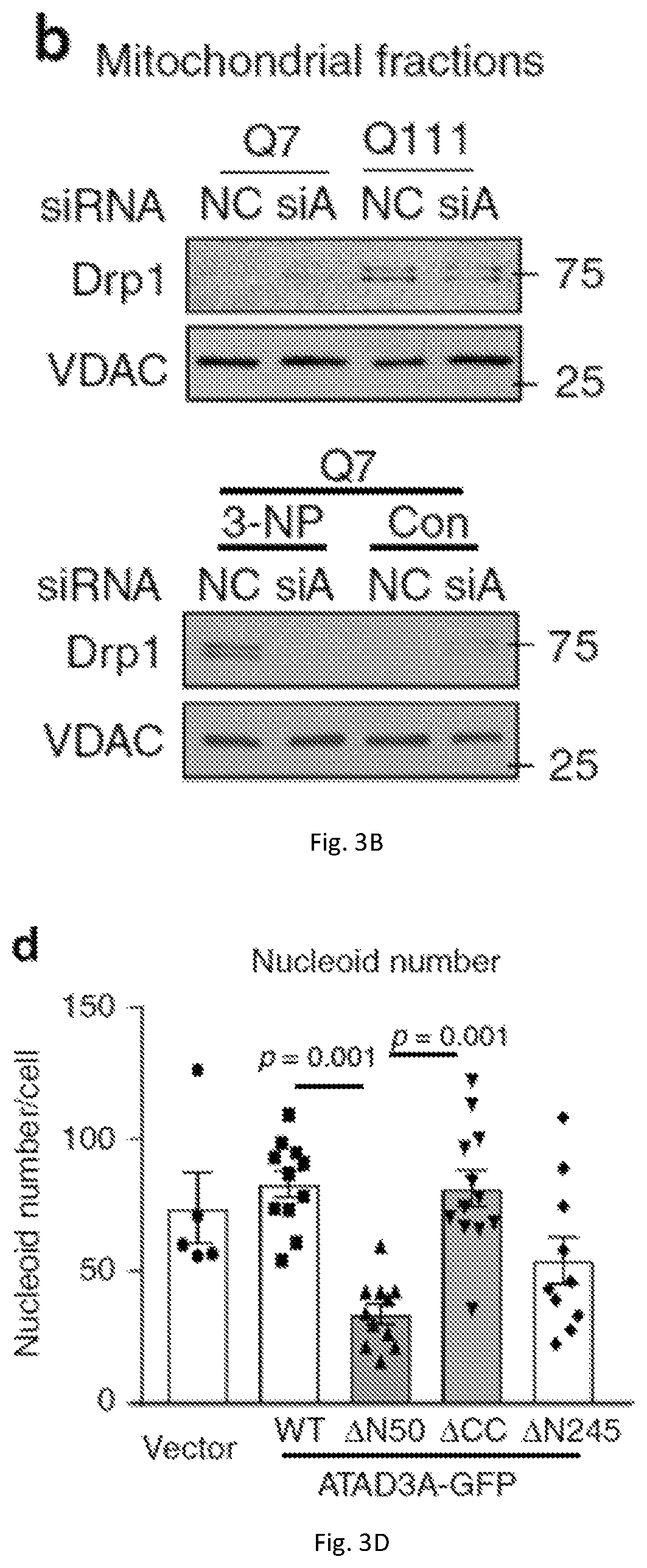 Patent US12403184 Figure 10 – Compositions and methods for treating neurodegenerative disroders