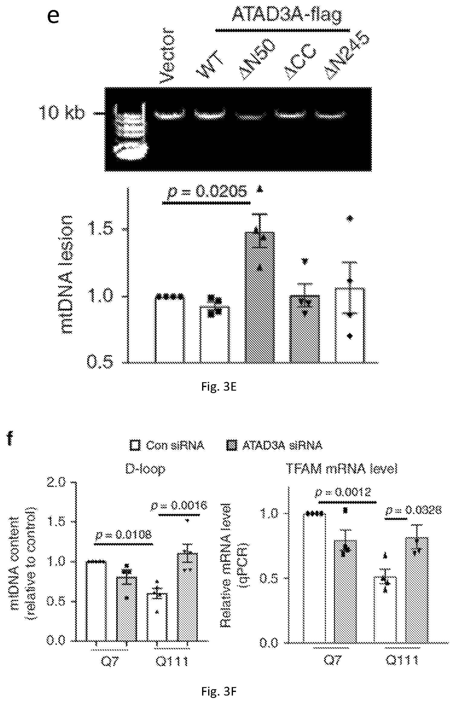 Patent US12403184 Figure 12 – Compositions and methods for treating neurodegenerative disroders