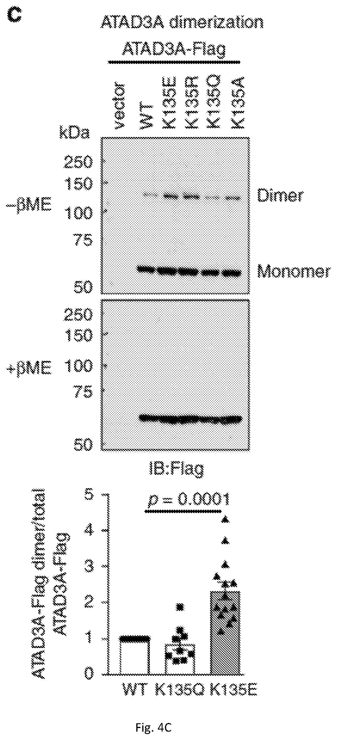 Patent US12403184 Figure 15 – Compositions and methods for treating neurodegenerative disroders