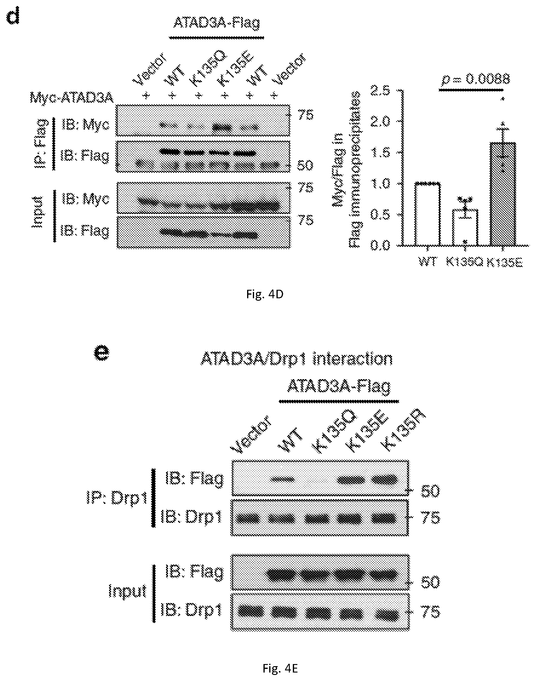 Patent US12403184 Figure 16 – Compositions and methods for treating neurodegenerative disroders