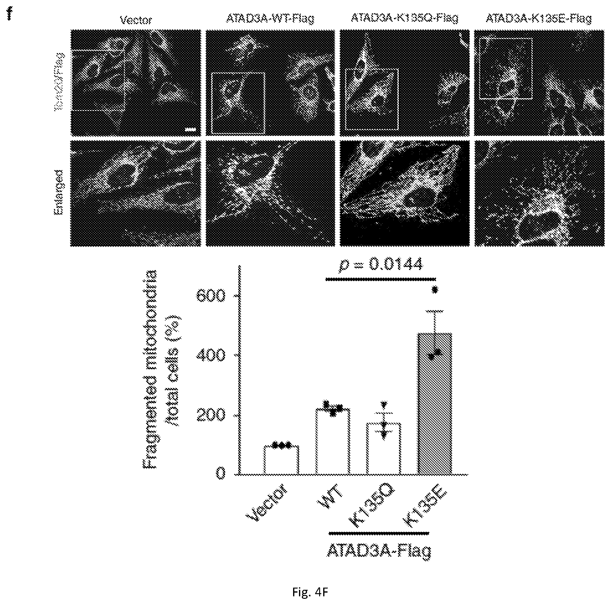 Patent US12403184 Figure 17 – Compositions and methods for treating neurodegenerative disroders
