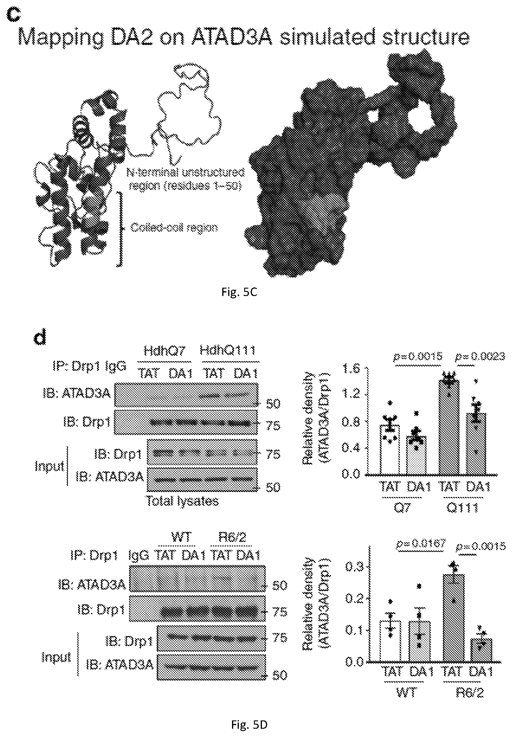 Patent US12403184 Figure 20 – Compositions and methods for treating neurodegenerative disroders