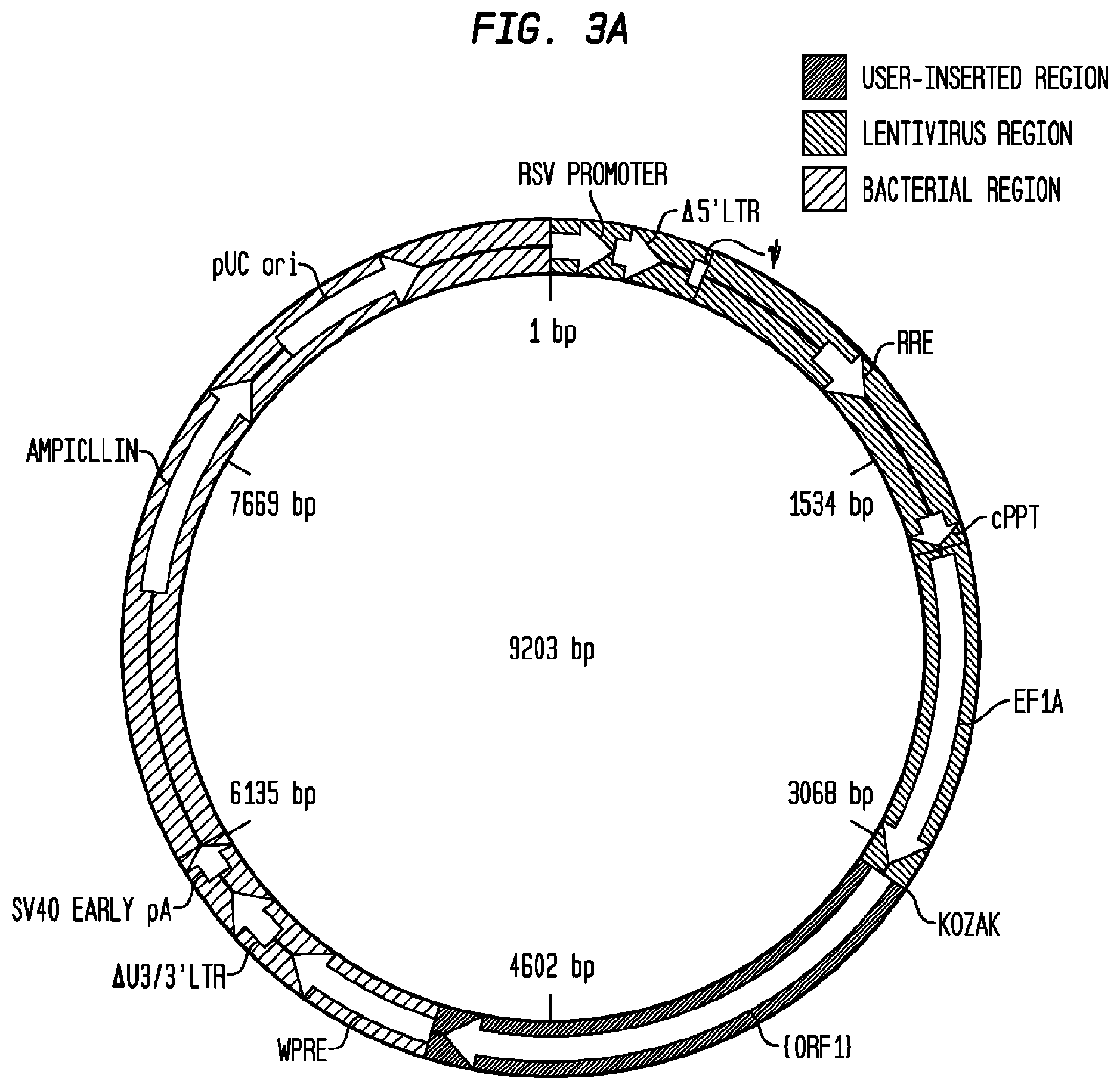 Patent US12403186 Figure 4 – Allogeneic tumor cell vaccine