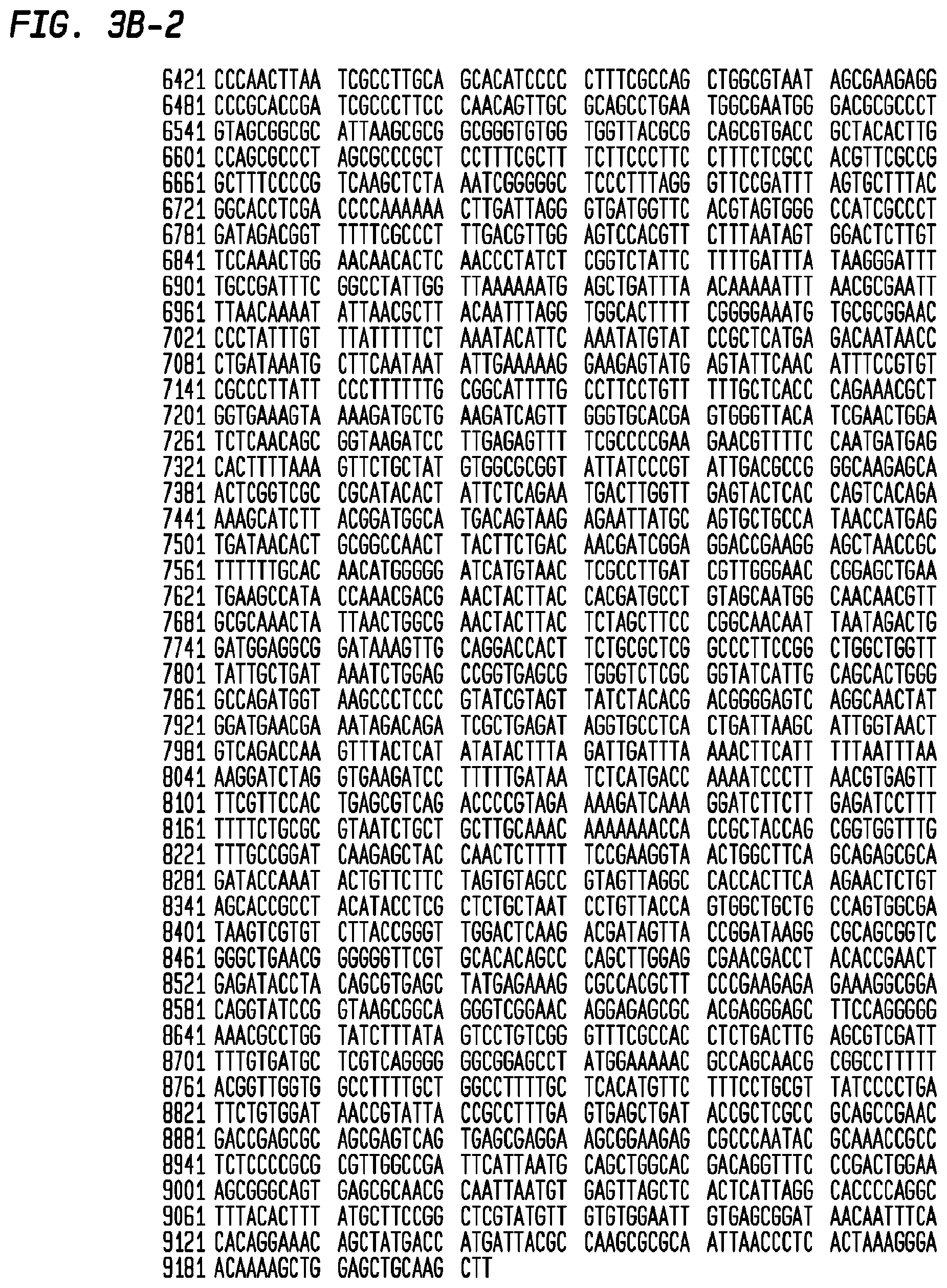 Patent US12403186 Figure 7 – Allogeneic tumor cell vaccine
