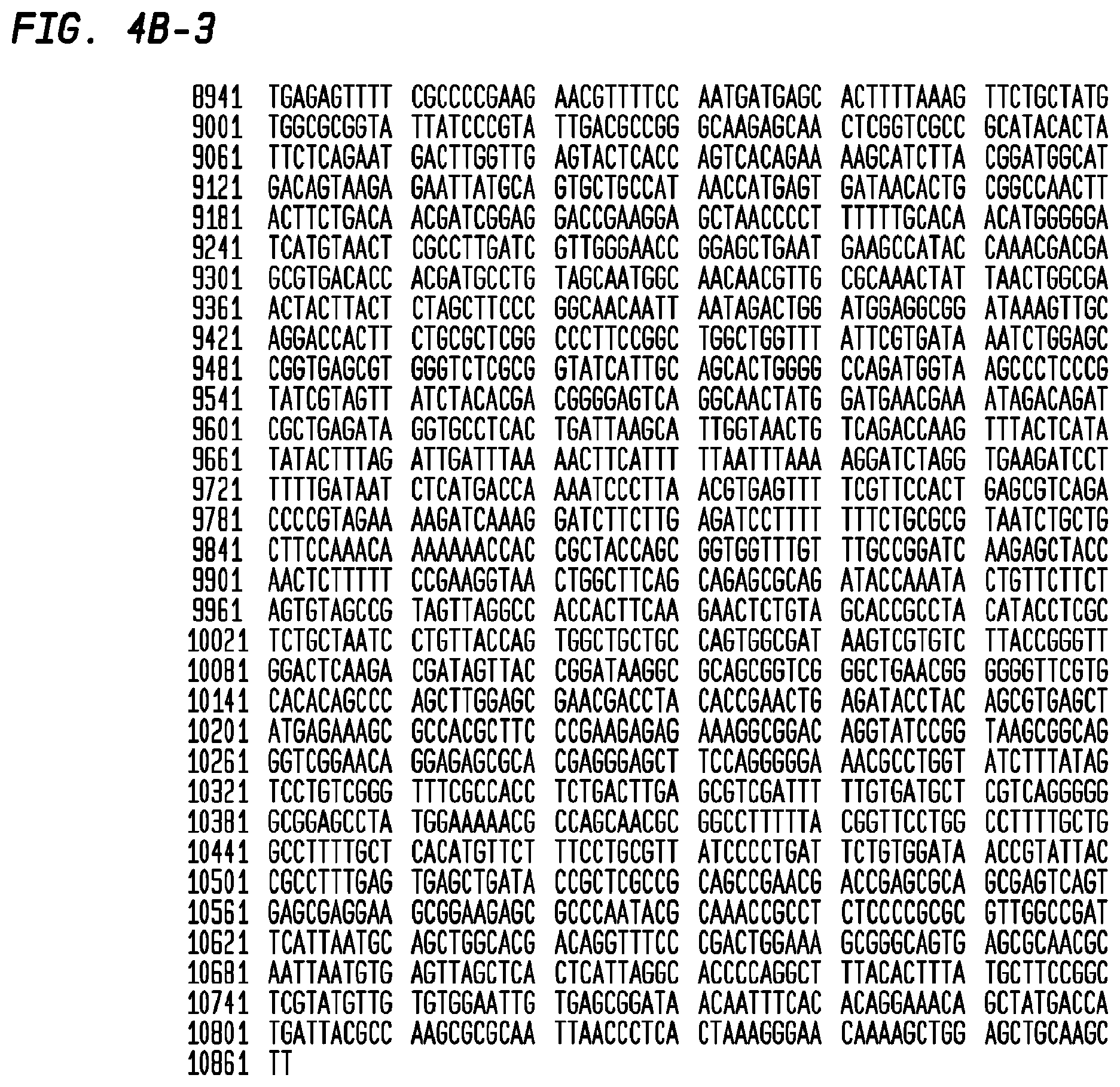 Patent US12403186 Figure 12 – Allogeneic tumor cell vaccine